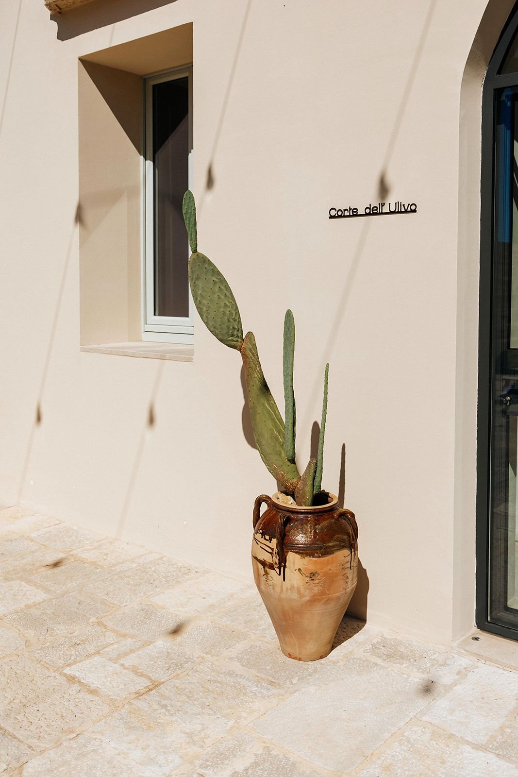 696f89d5fd21beea7adc6e32_BARBARA MARKIEWICZ PHOTOGRAPHY 8.jpg.jpg