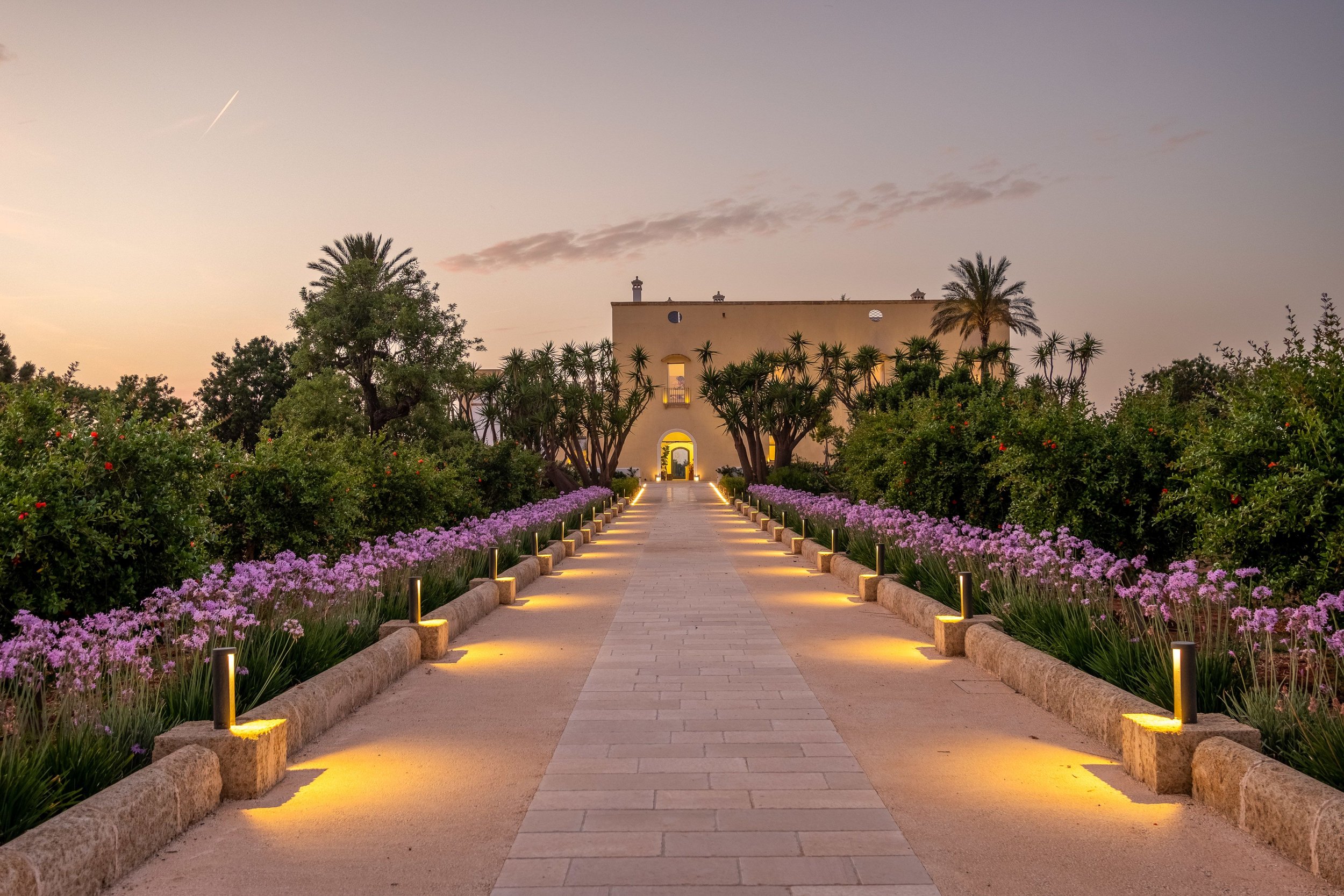 69bd7bfb7fef27dfb868e573_Viale viola by Sergio De Riccardis.jpg.jpg