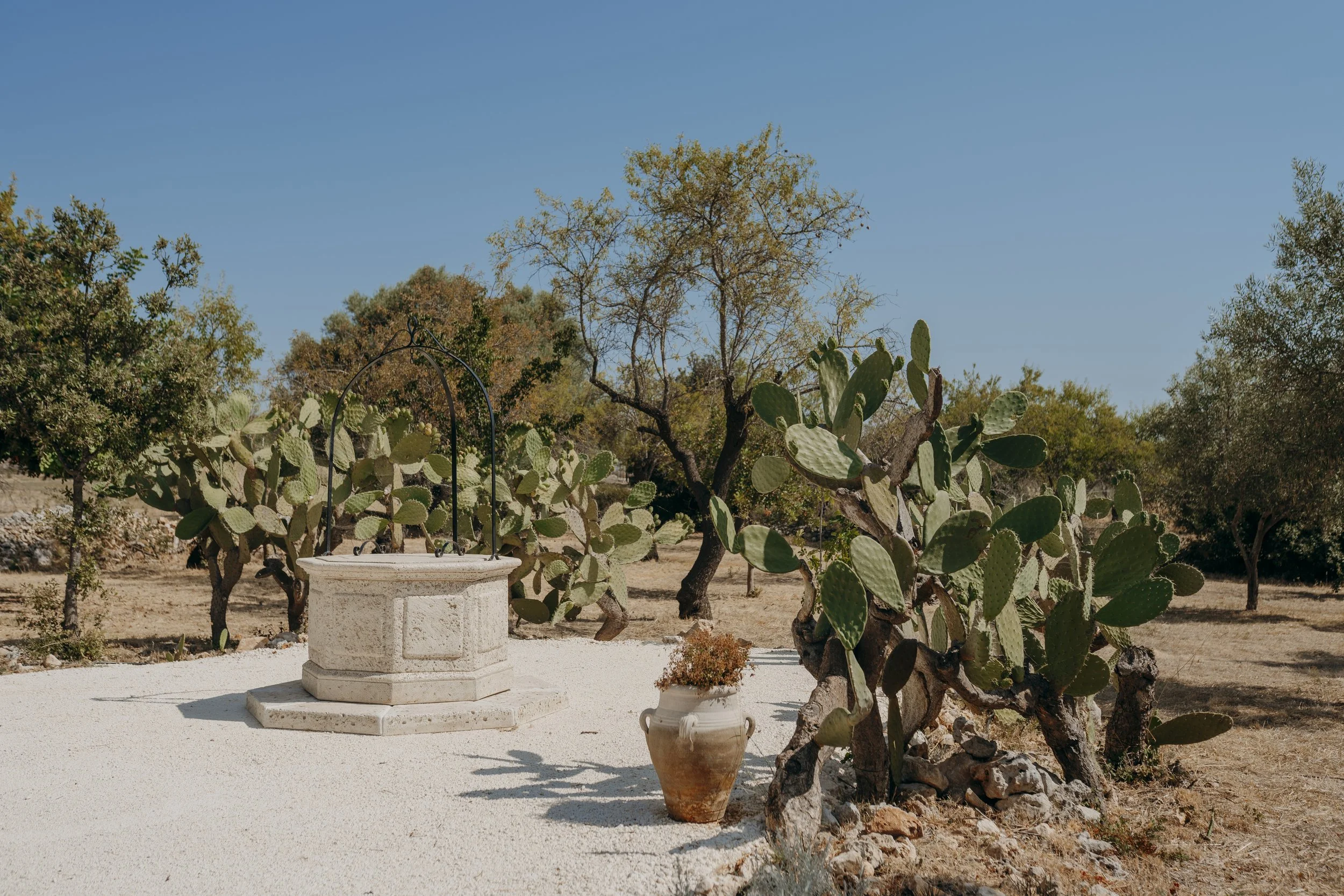Terre d'Anemà | Wedding Venue in Val di Noto, Sicily.jpg