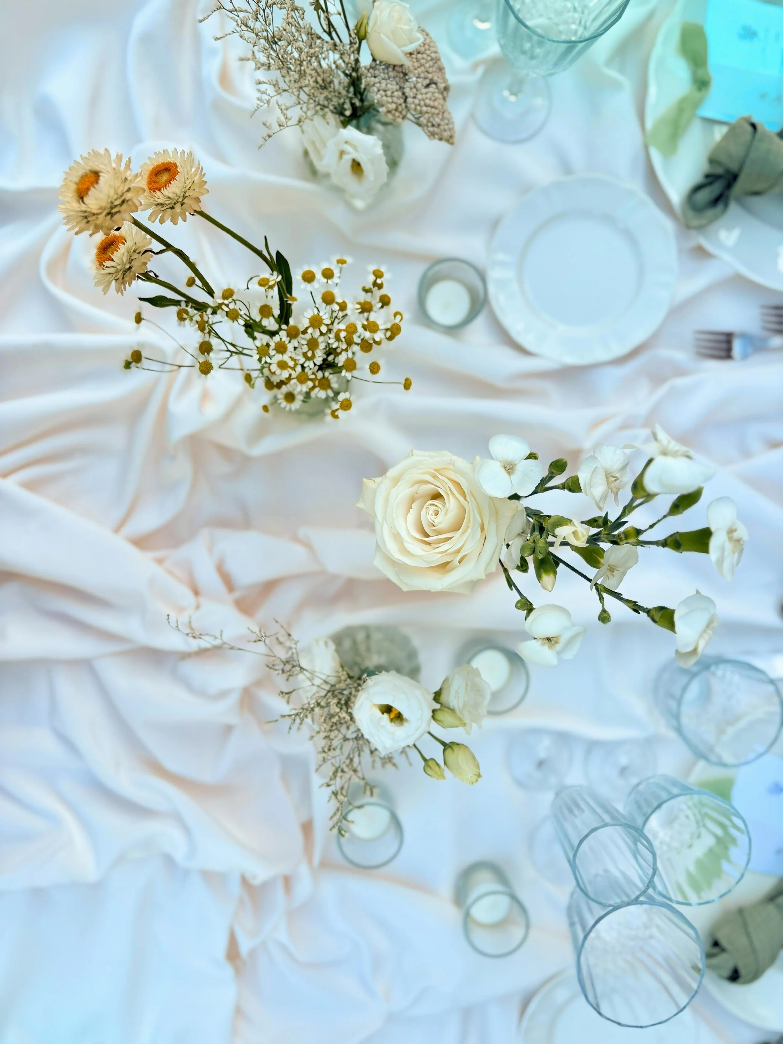 698478f834dabf12eb06275a_WhatsApp Image 2026-02-05 at 11.58.57 (3).jpeg.jpg