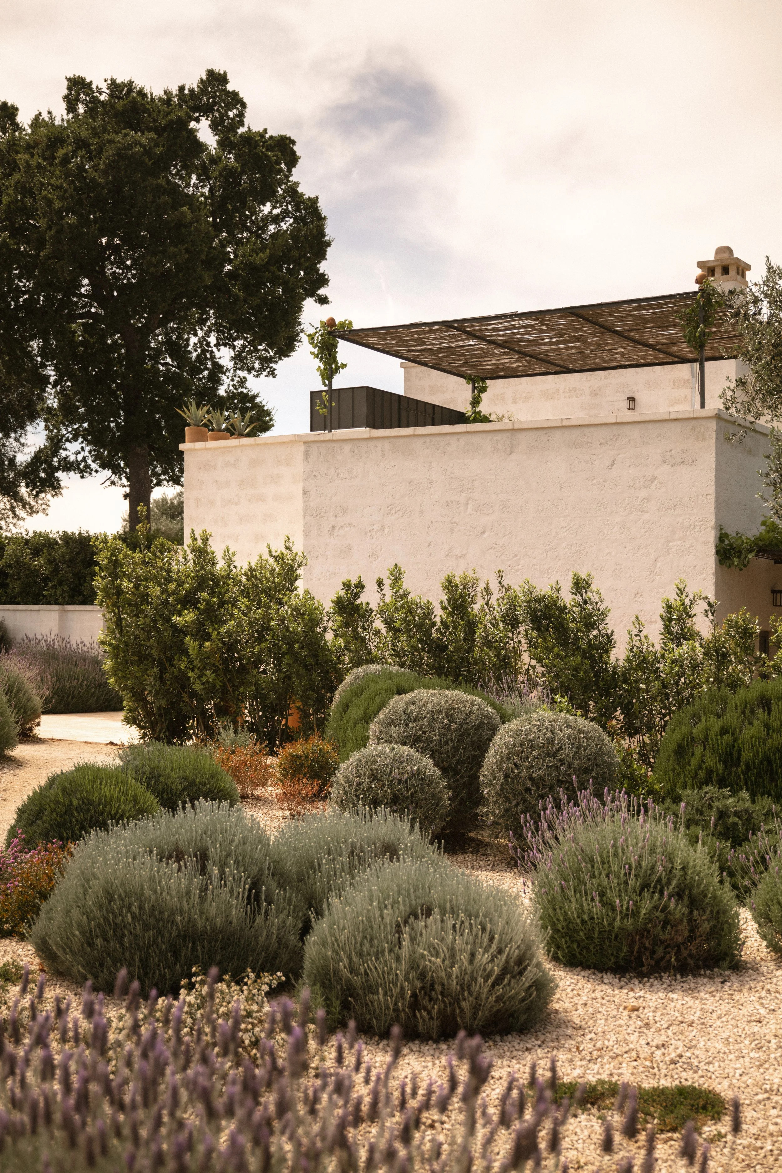 Masseria Auraterrae | Luxury Masseria Wedding Venue in Puglia.jpg
