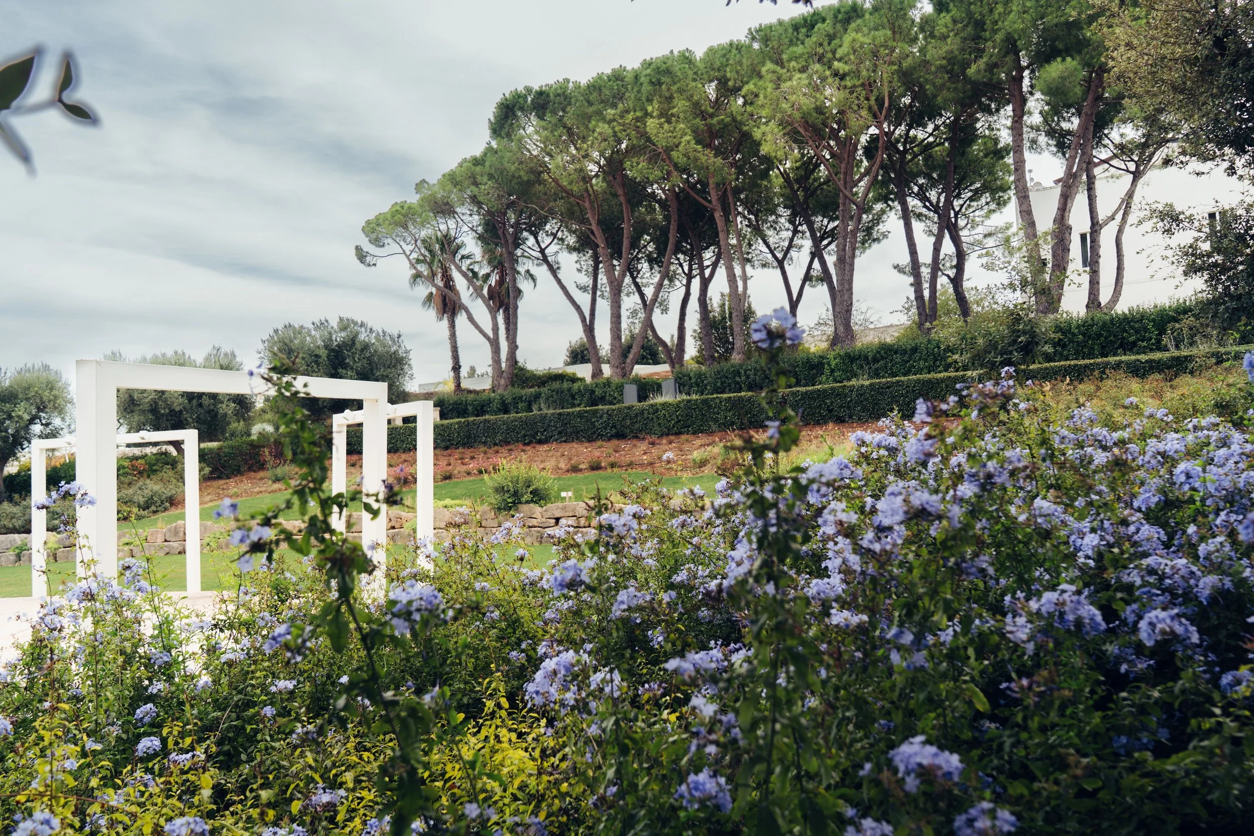 Mimmo Ricatti_foto_2396.jpg.jpg