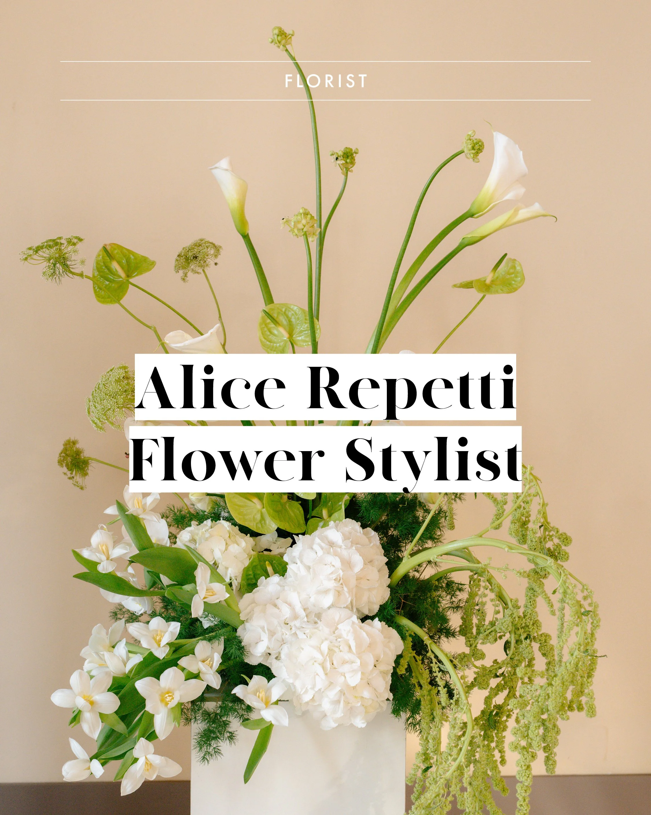 Vendor assets 03 March 20268.jpg