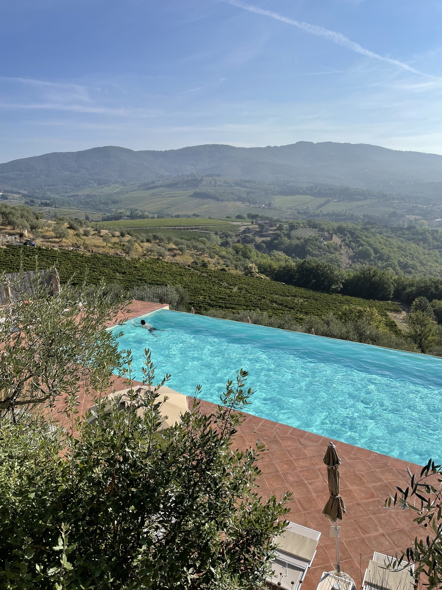 Castello_Vicchiomaggio_pool_area2.jpeg