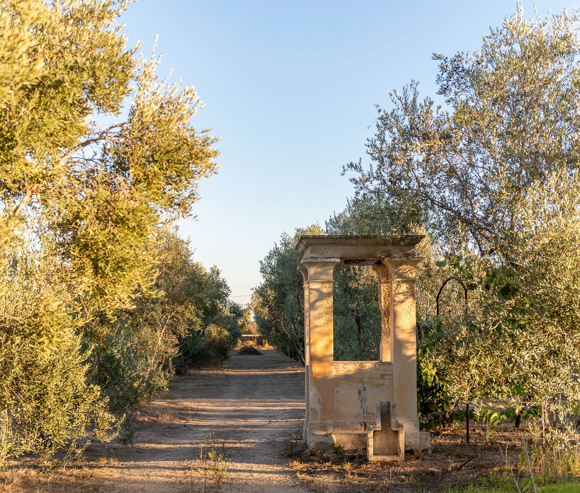 CasinAnand_olivegrove_FrancescoConte.jpg