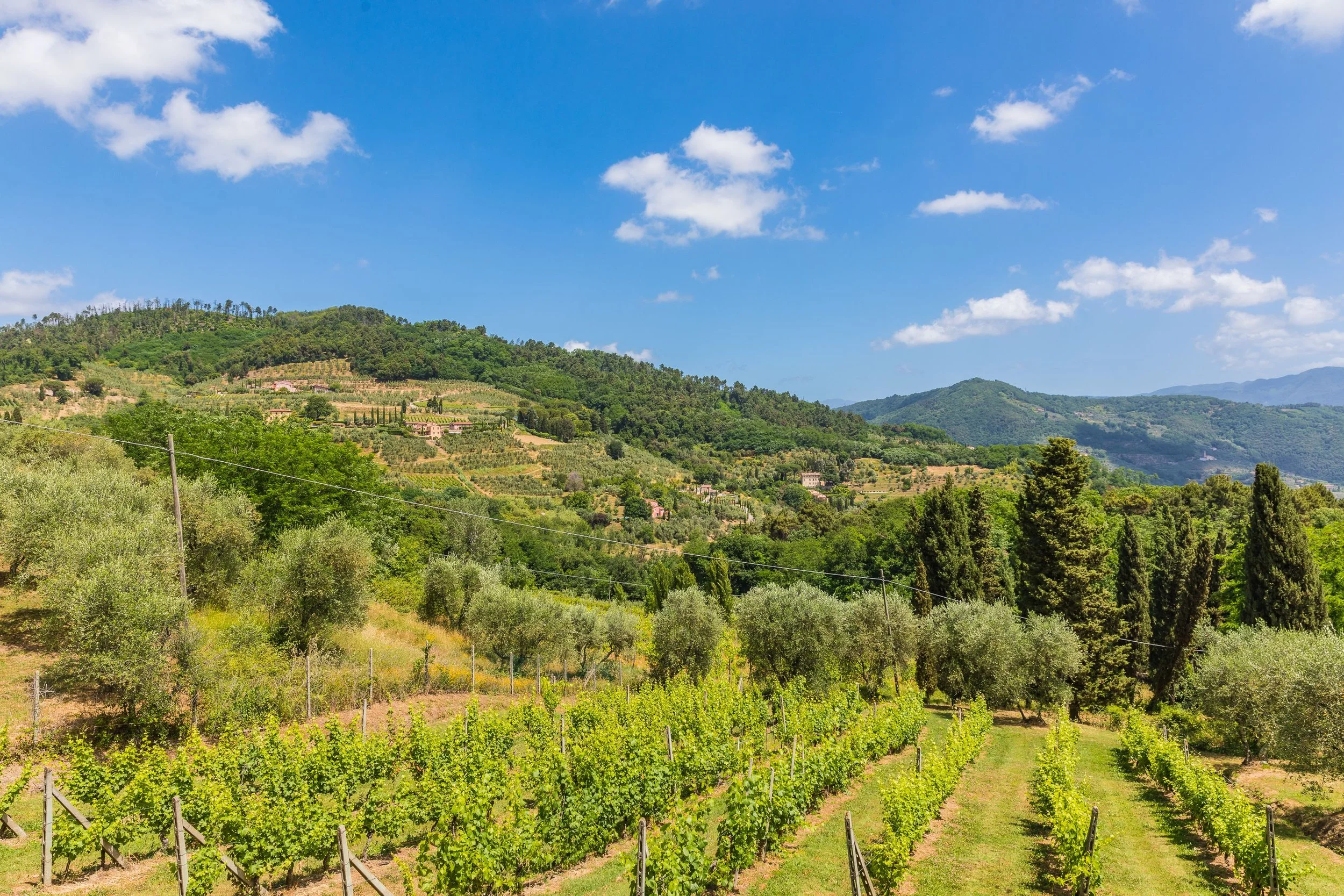 6992ef5197da294c214b9716_Villa Bellosguardo38.jpg.jpg