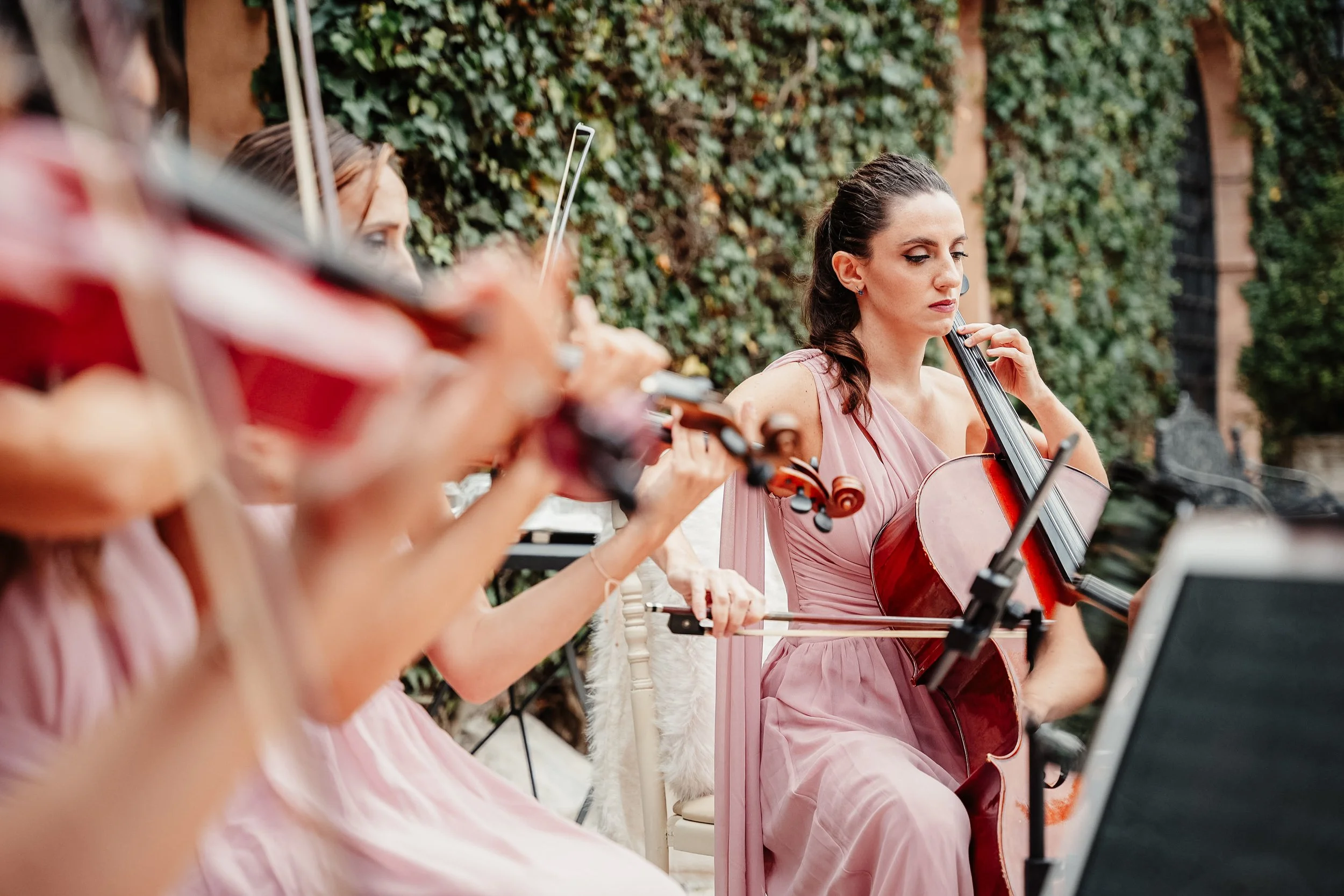 Violins-02035.jpg