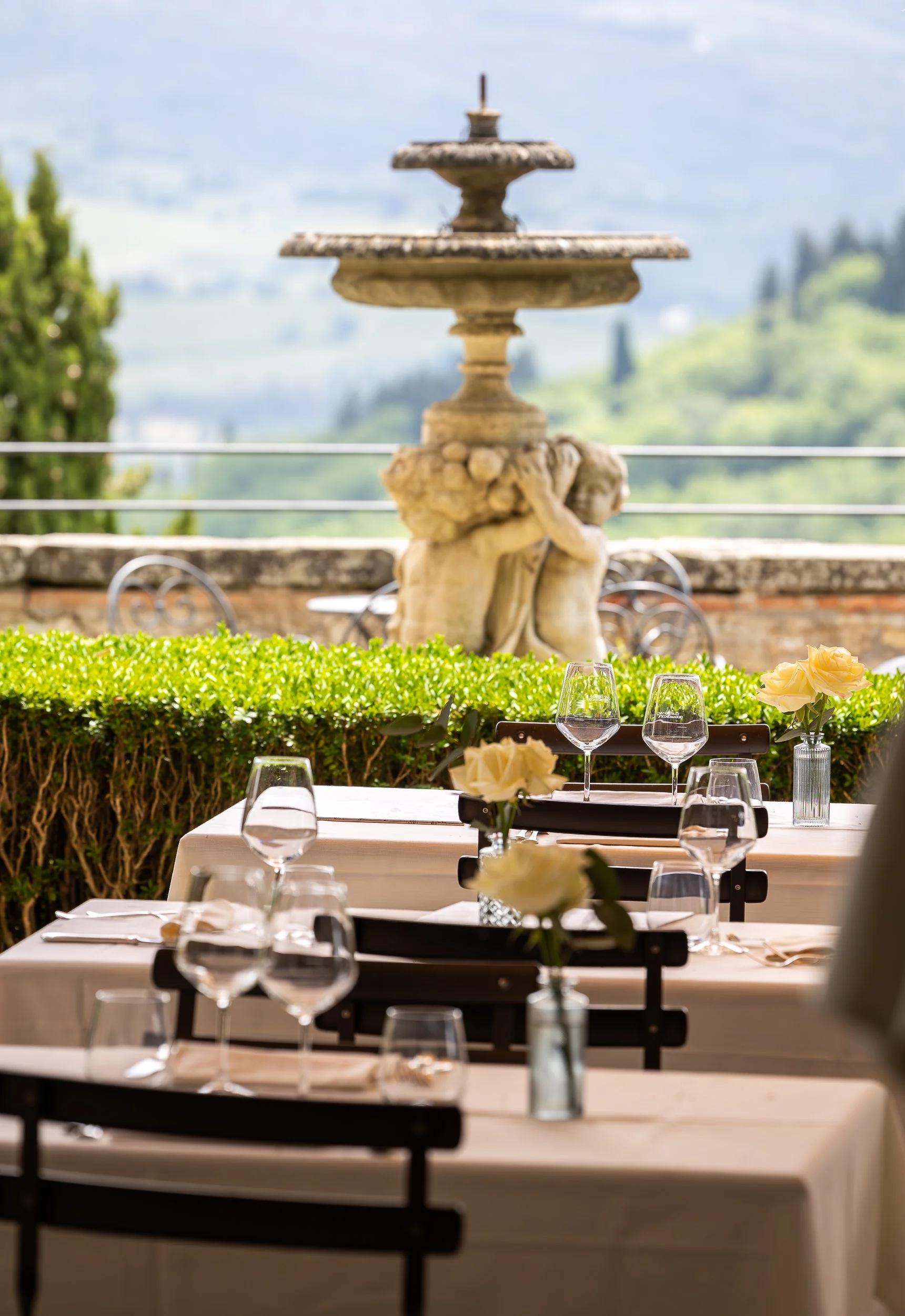 Castello_vicchiomaggio_the_garden2.jpg