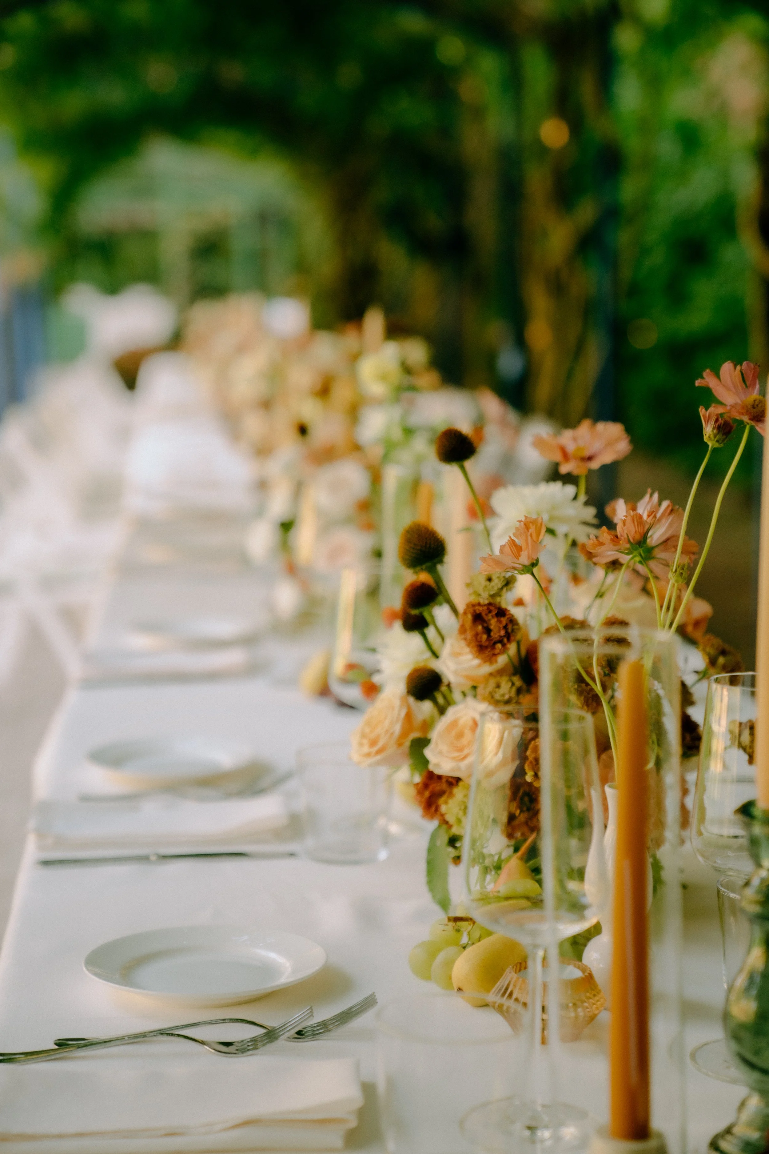 Copia di TEM00640.jpg