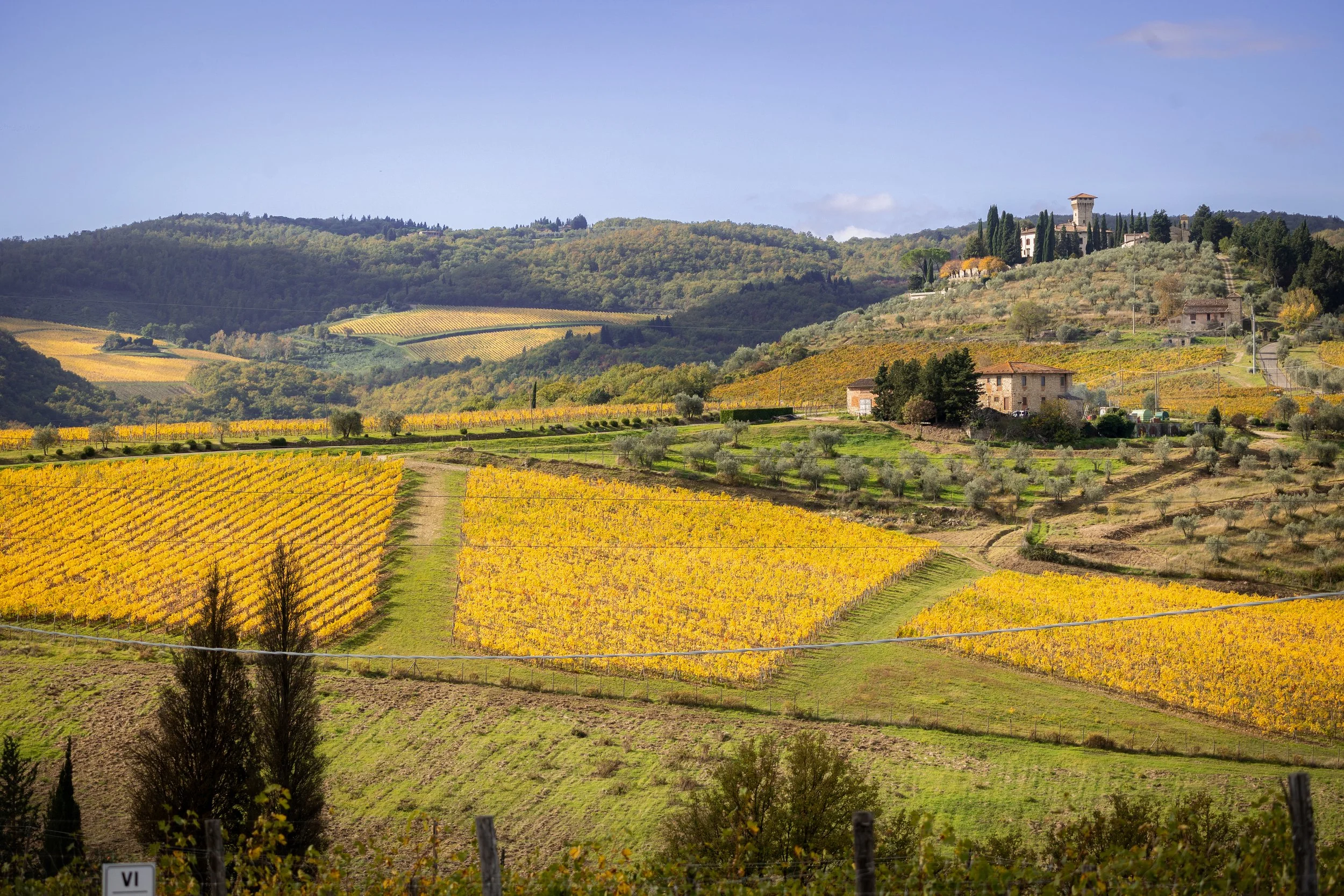 Castello_Vicchiomaggio_Aerial_view2.jpg