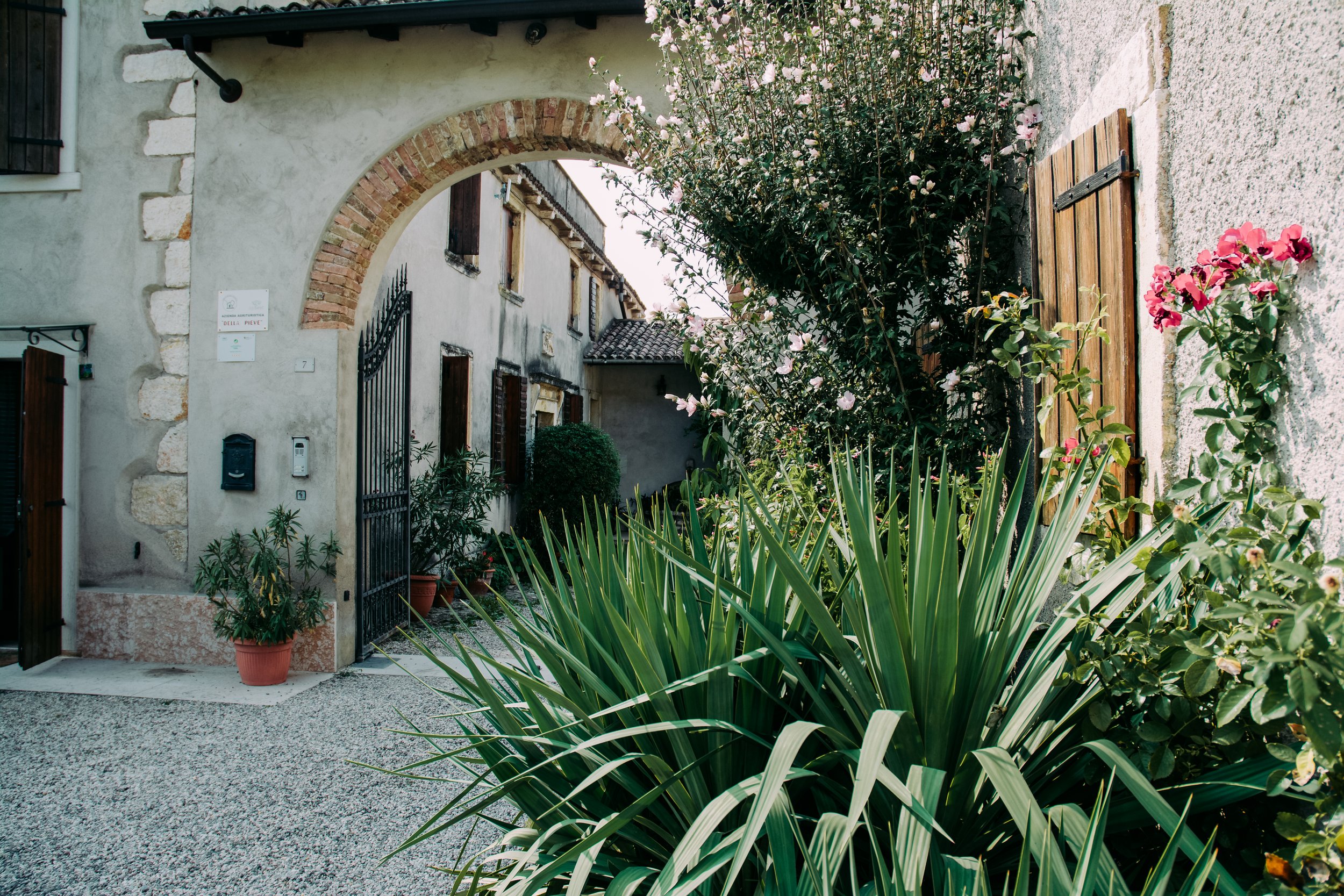 00002Andrea & Frank .jpg