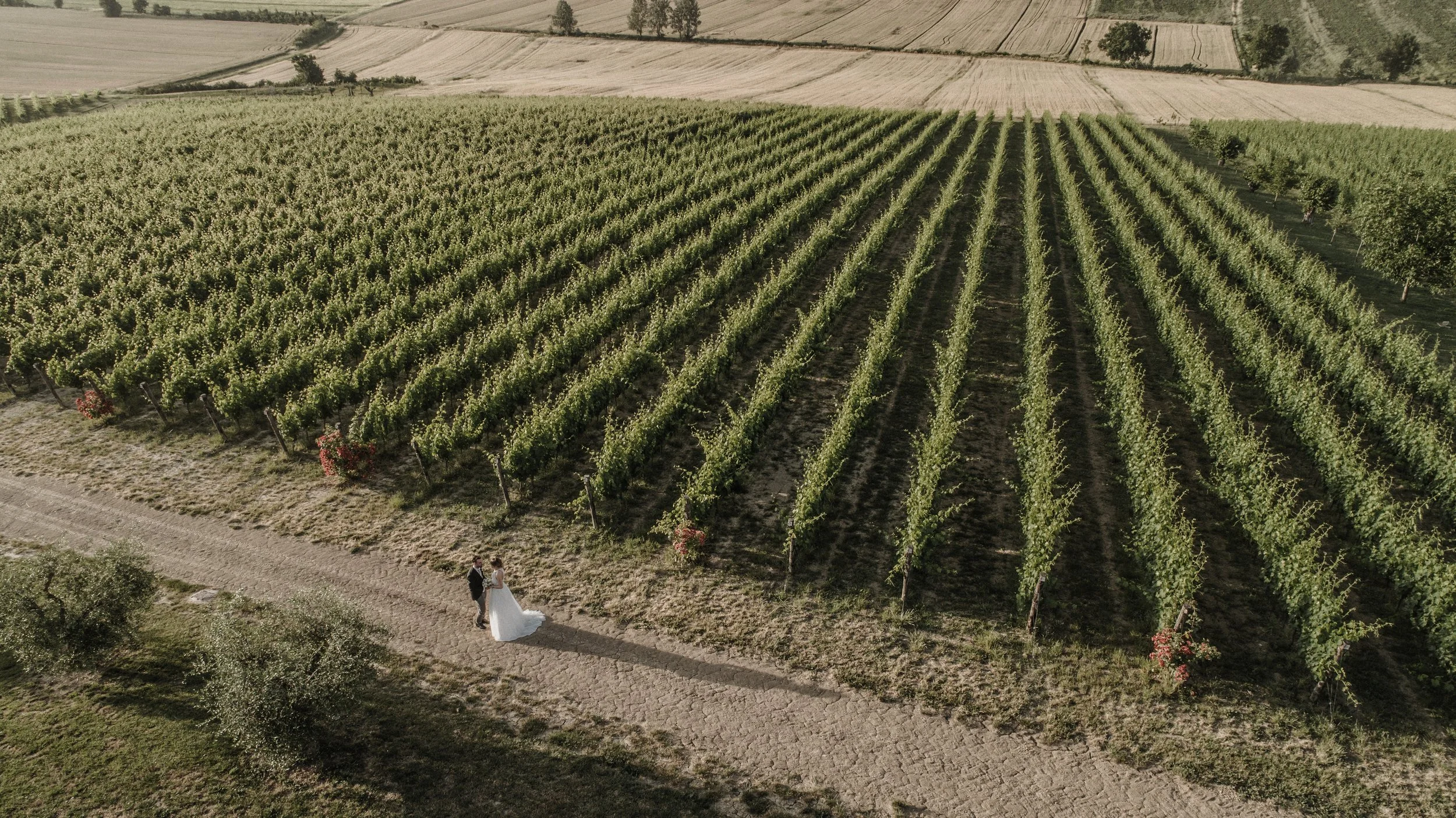 DJI_0030.jpg