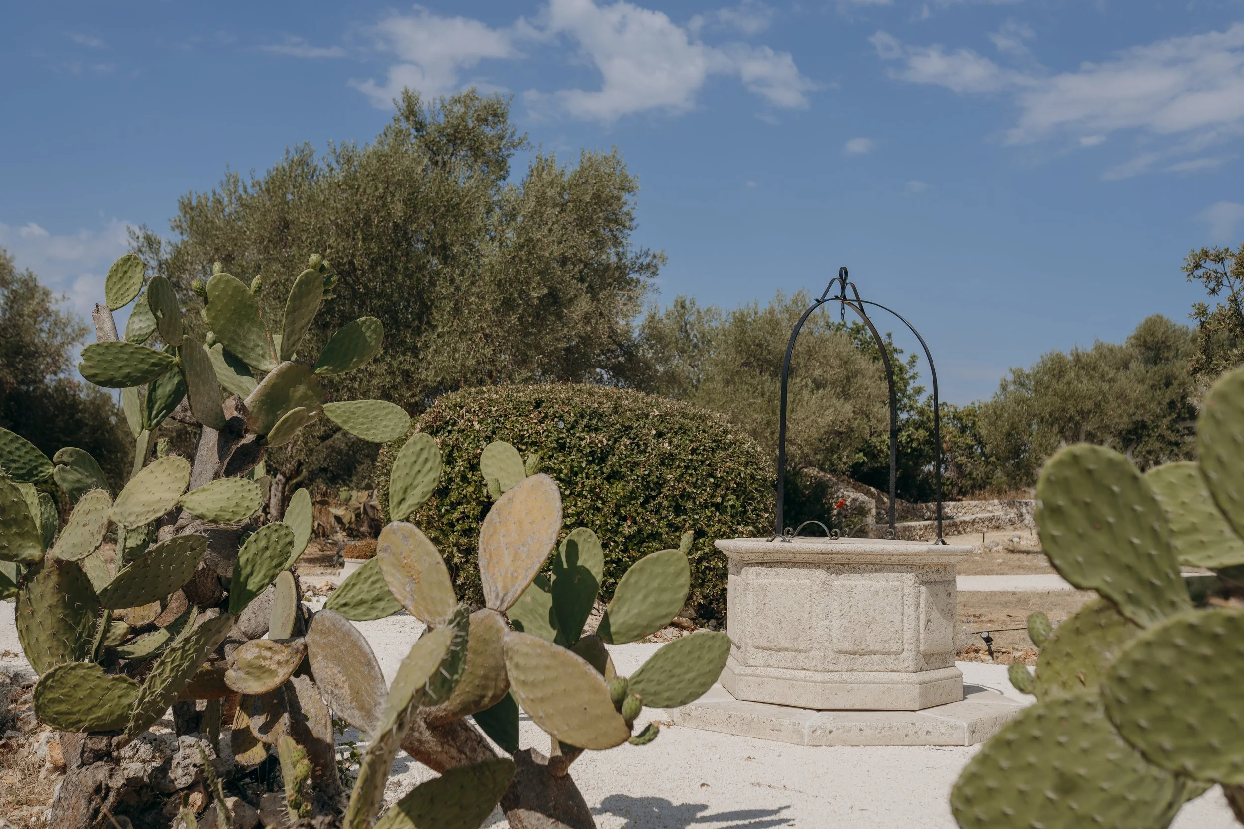 Terre d'Anemà | Wedding Venue in Val di Noto, Sicily.jpg