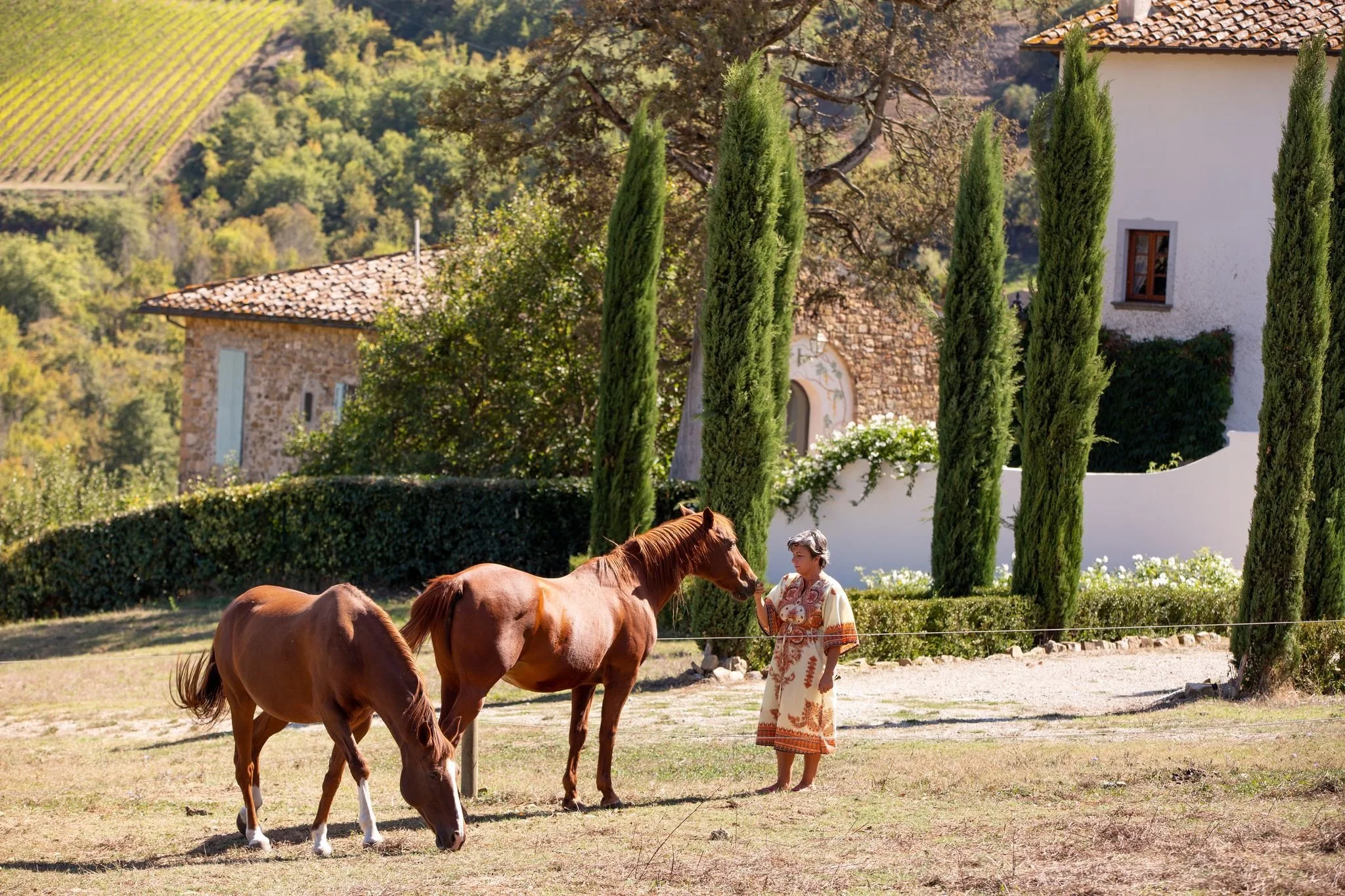 6995ea8656c9f67754b4b1d1_horses villa.JPG.jpg