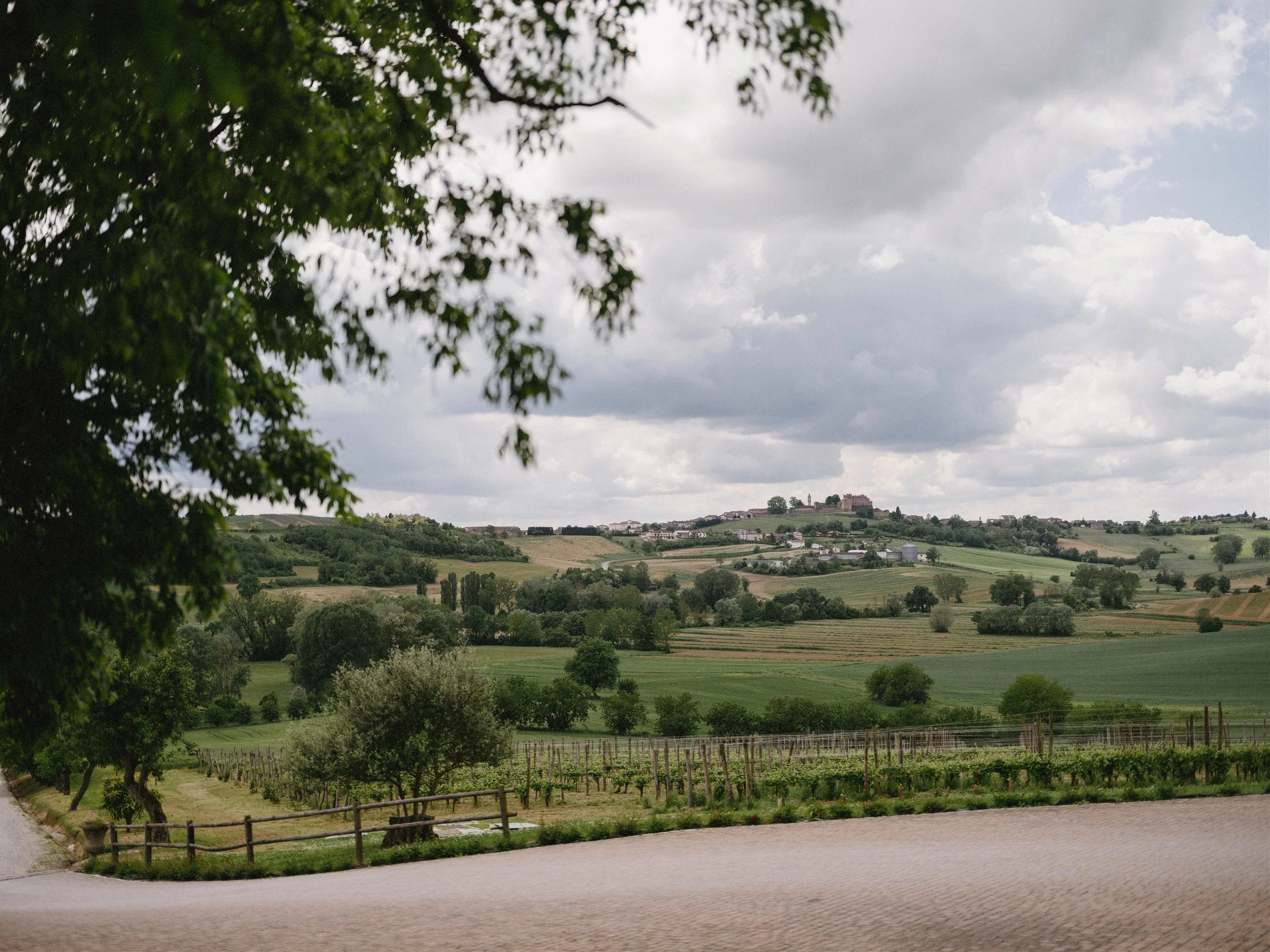 Tenuta Montemagno | Vineyard Wedding Venue in Piedmont.jpg