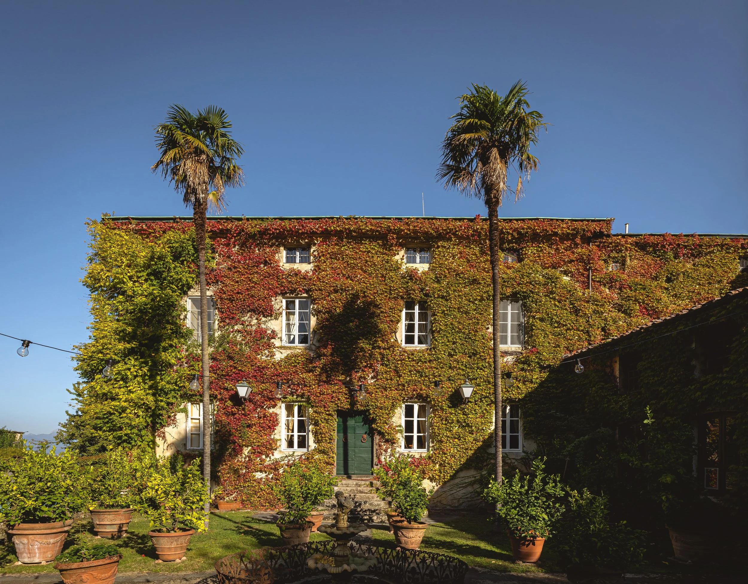 fascade_with_palm_trees.jpg