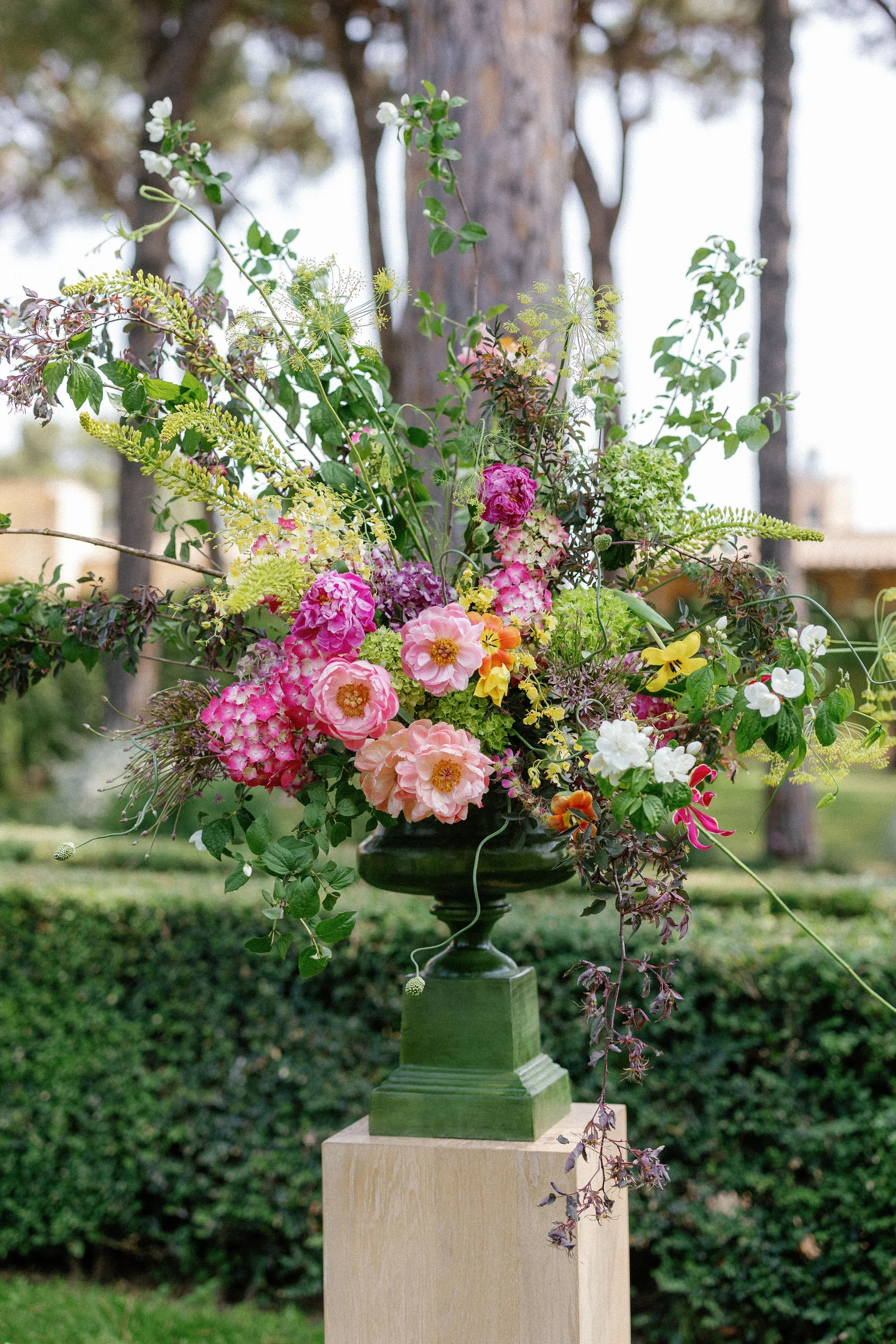 Maria Francesca Nitti9.jpg