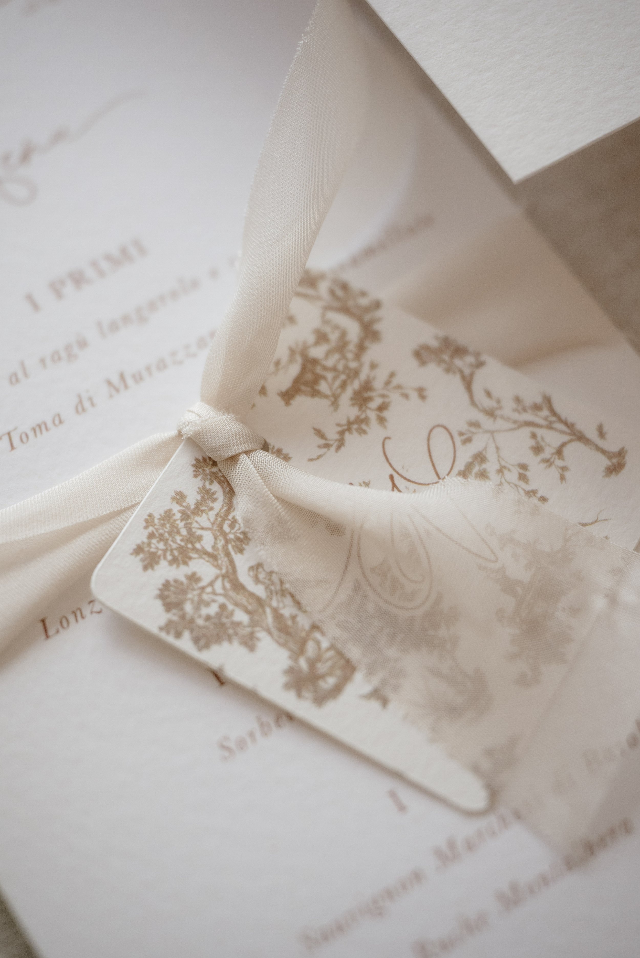 14-plumacreativa  276.jpg