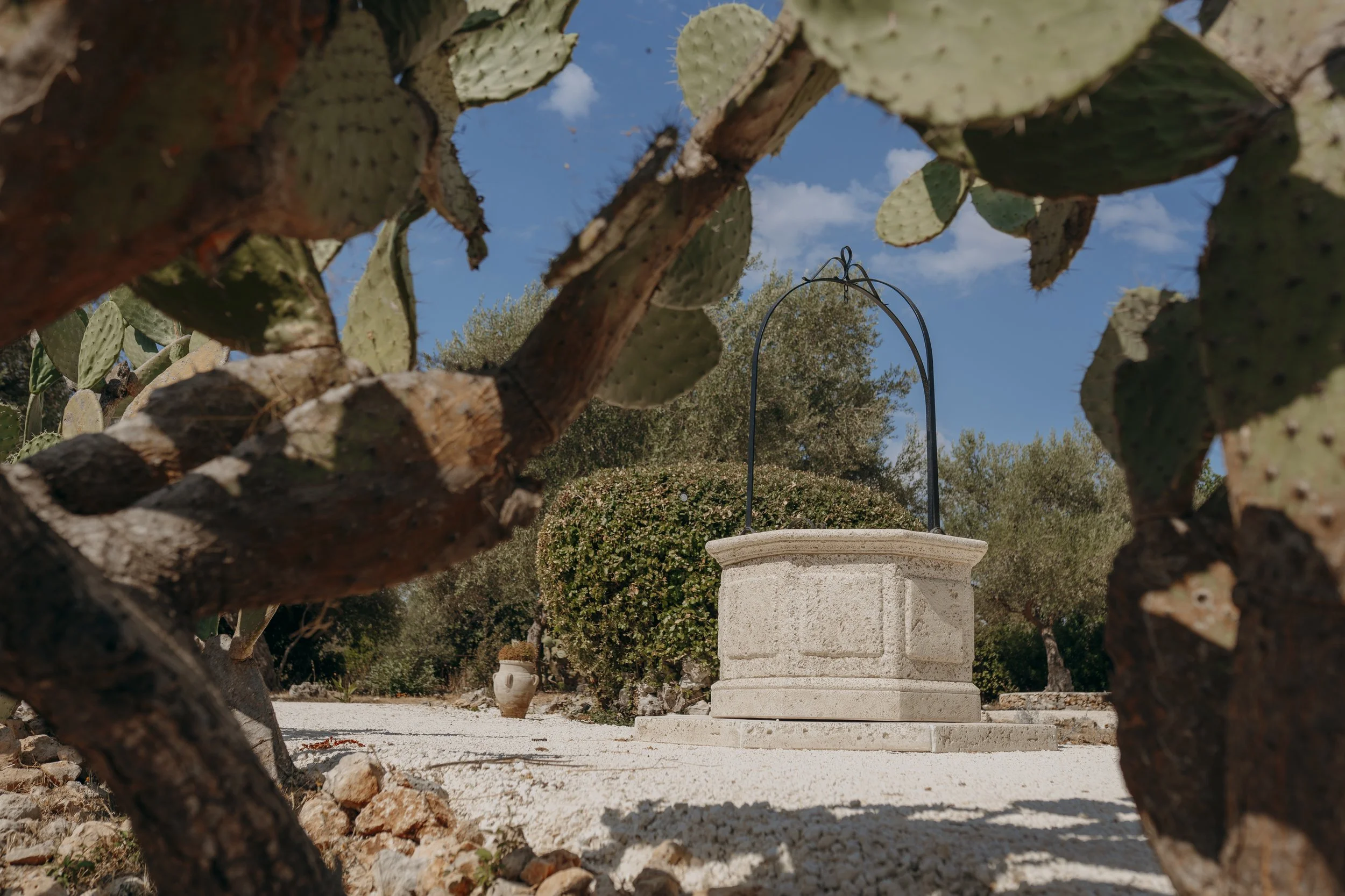 Terre d'Anemà | Wedding Venue in Val di Noto, Sicily.jpg