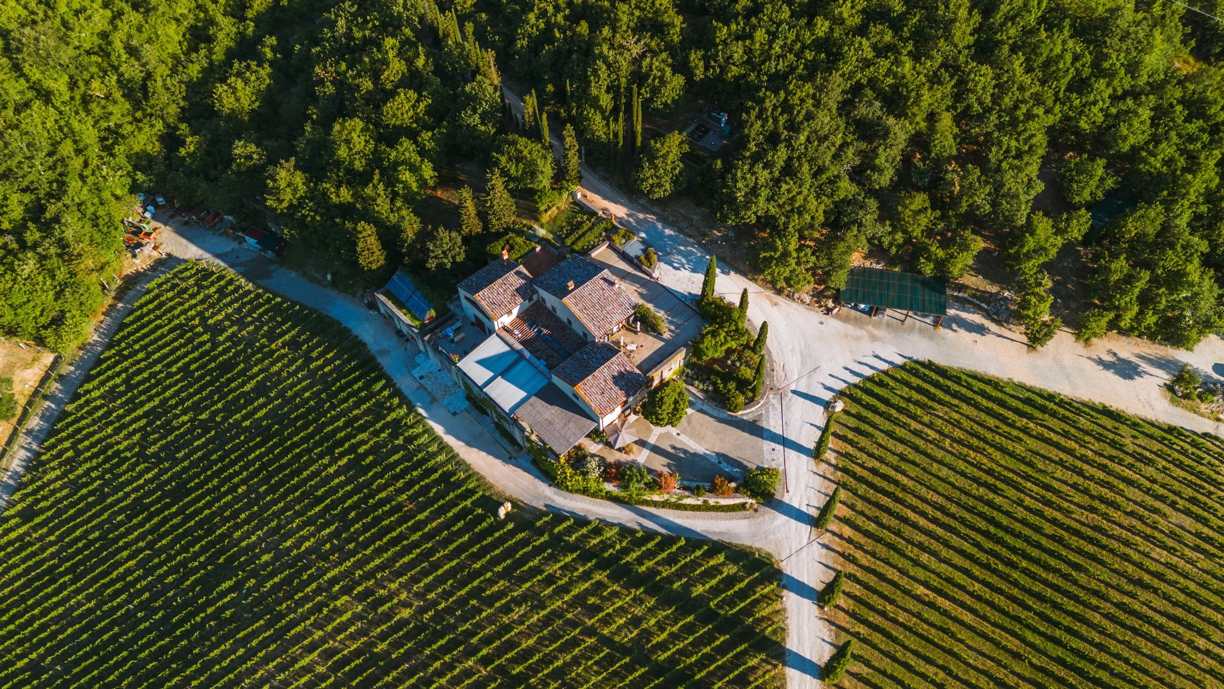 Brancaia  Max Guests - 50-100, Distance - More than one hour, Airport - Florence 