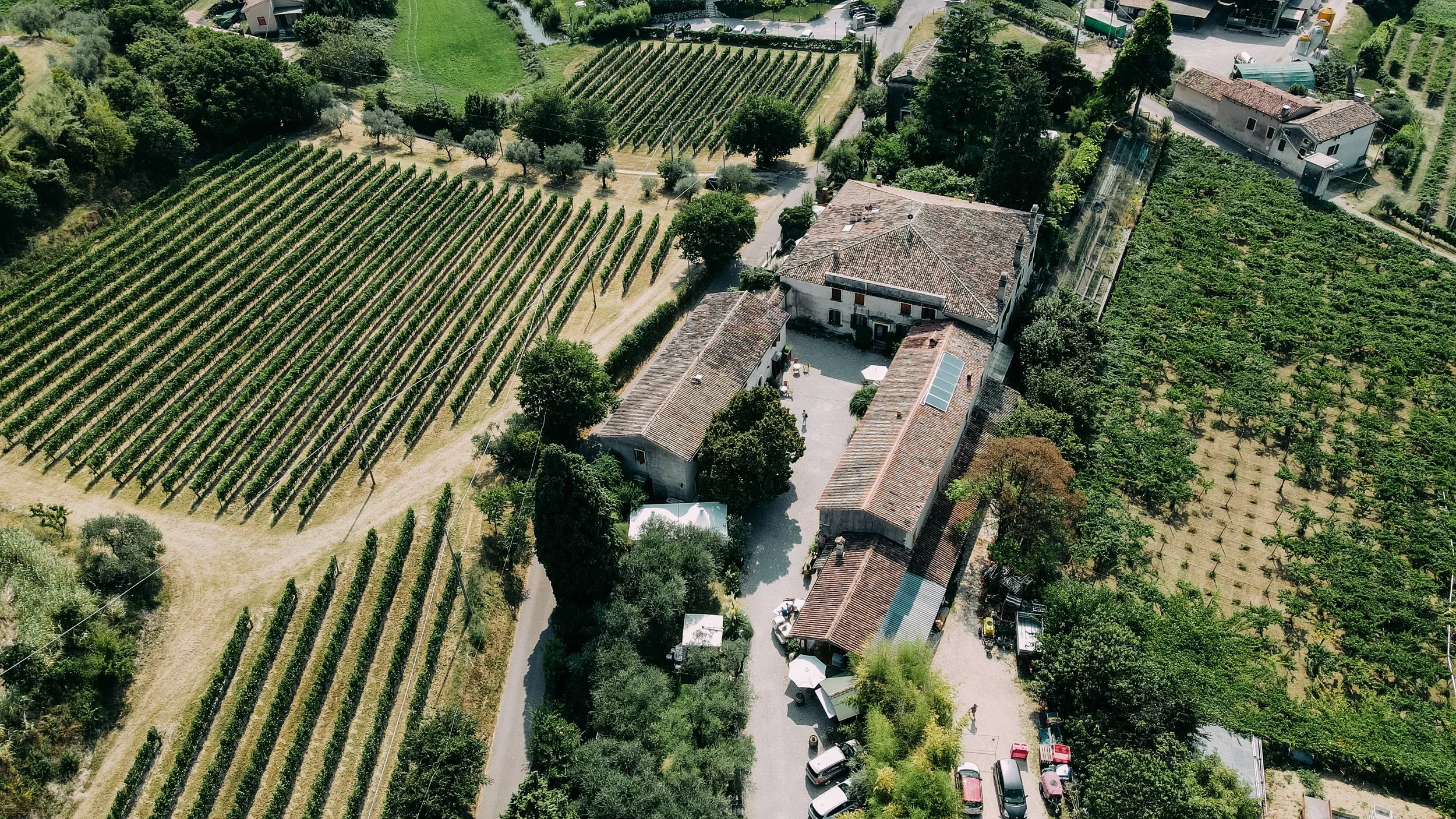 00014Andrea & Frank .jpg