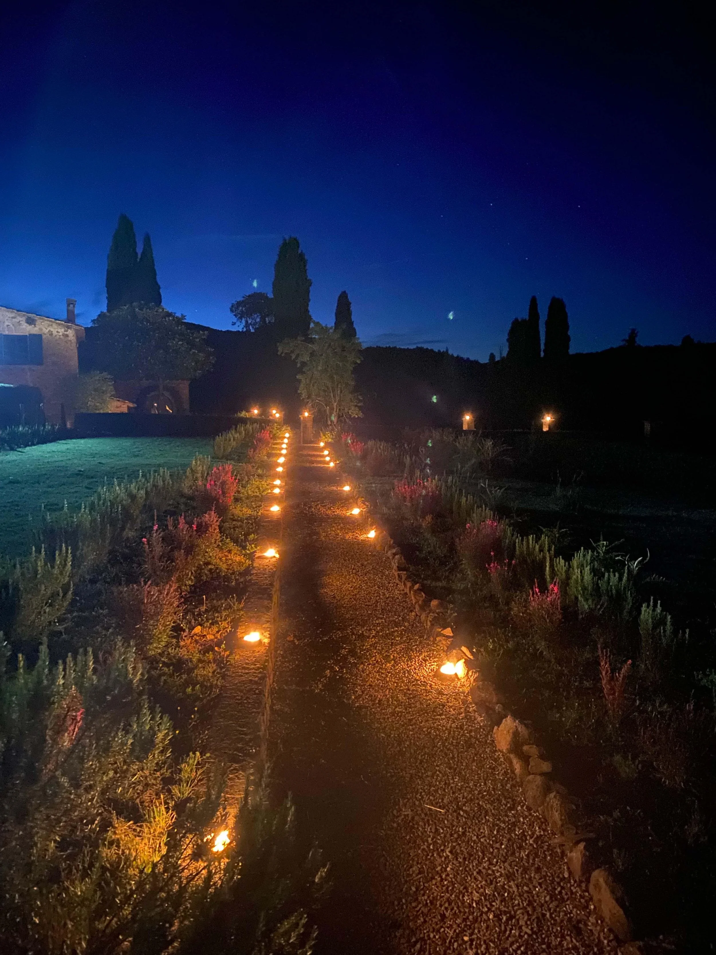 698489faa1ed230cec3223ab_WhatsApp Image 2026-02-05 at 13.12.46.jpeg.jpg