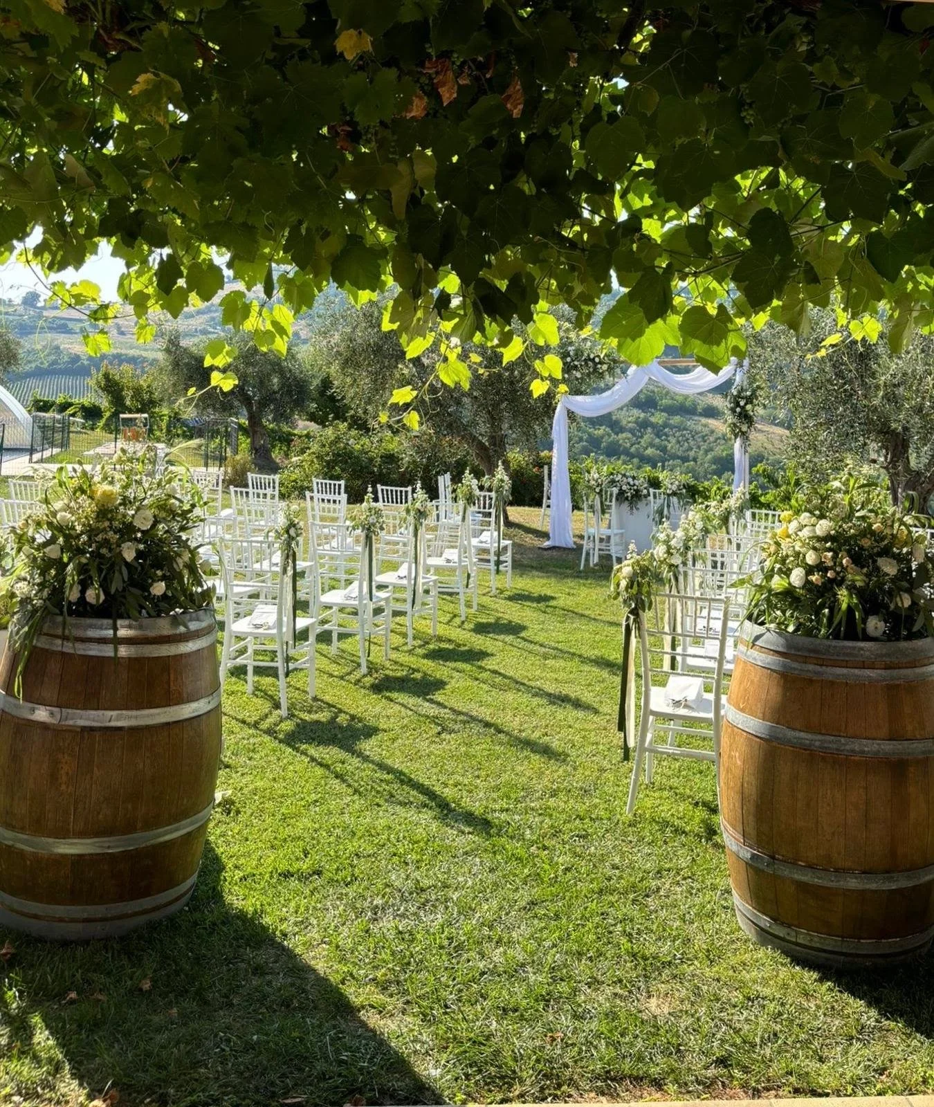 688094201e9bec972be22956_WhatsApp Image 2024-07-11 at 10.45.22-7.jpeg.jpg