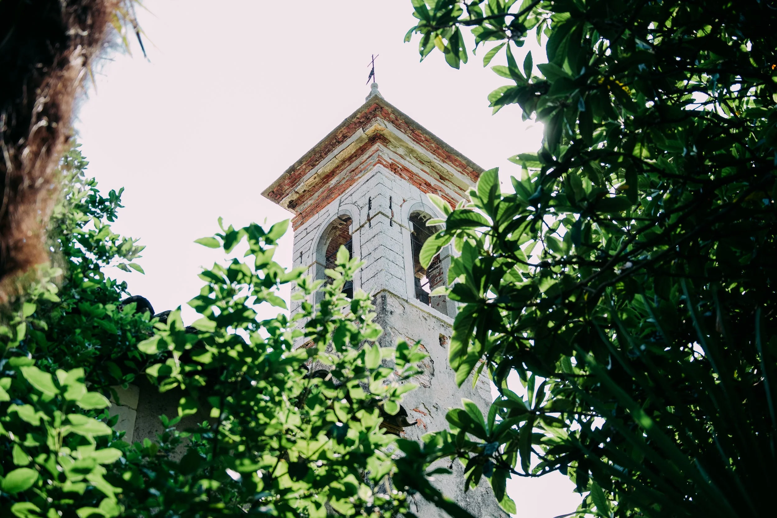 00033Andrea & Frank .jpg