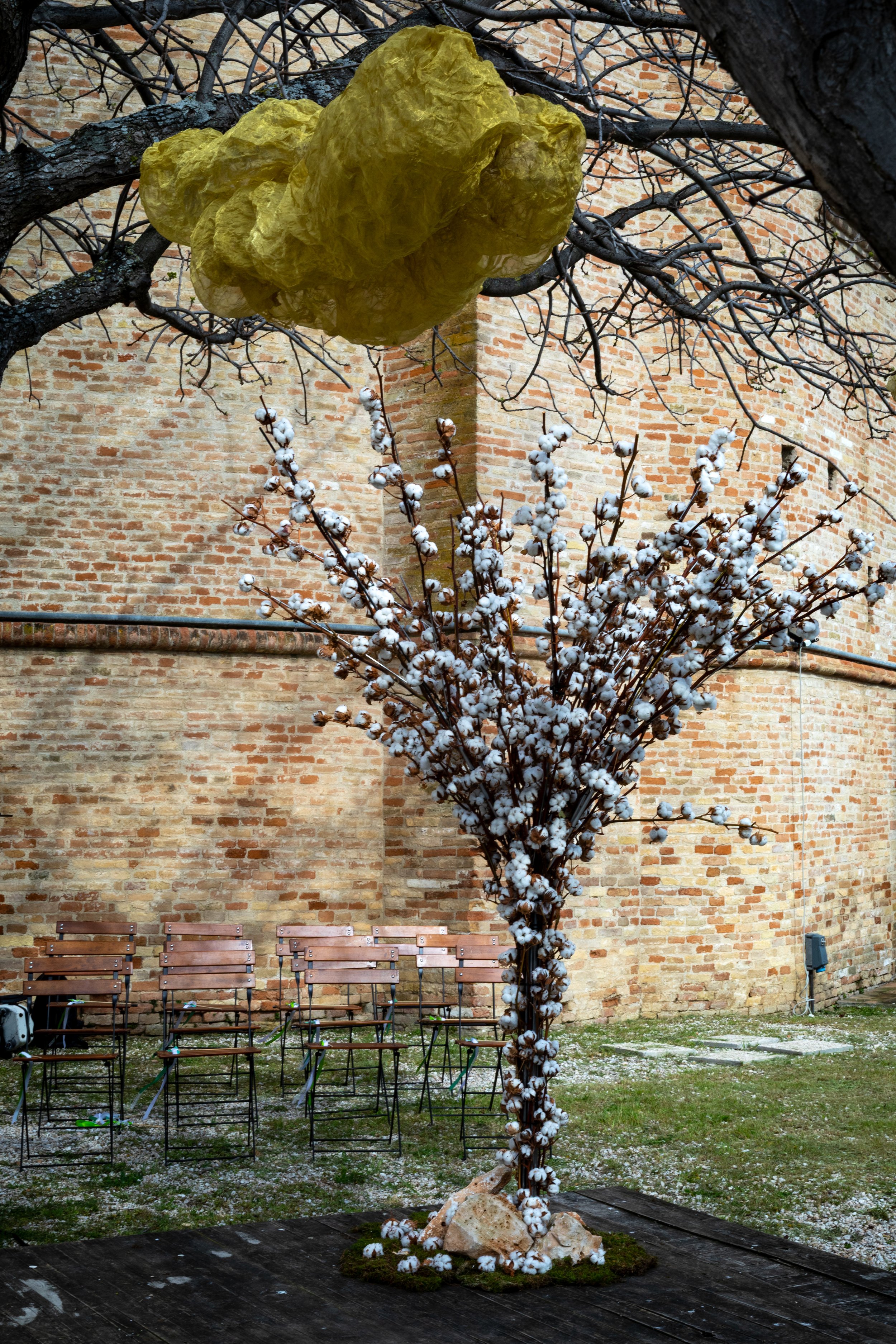 23_FA-albero-palazzo.jpg