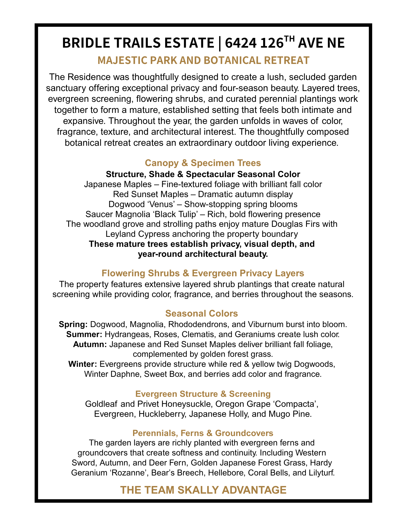 6424 126th Ave Landscape For Marketing .png