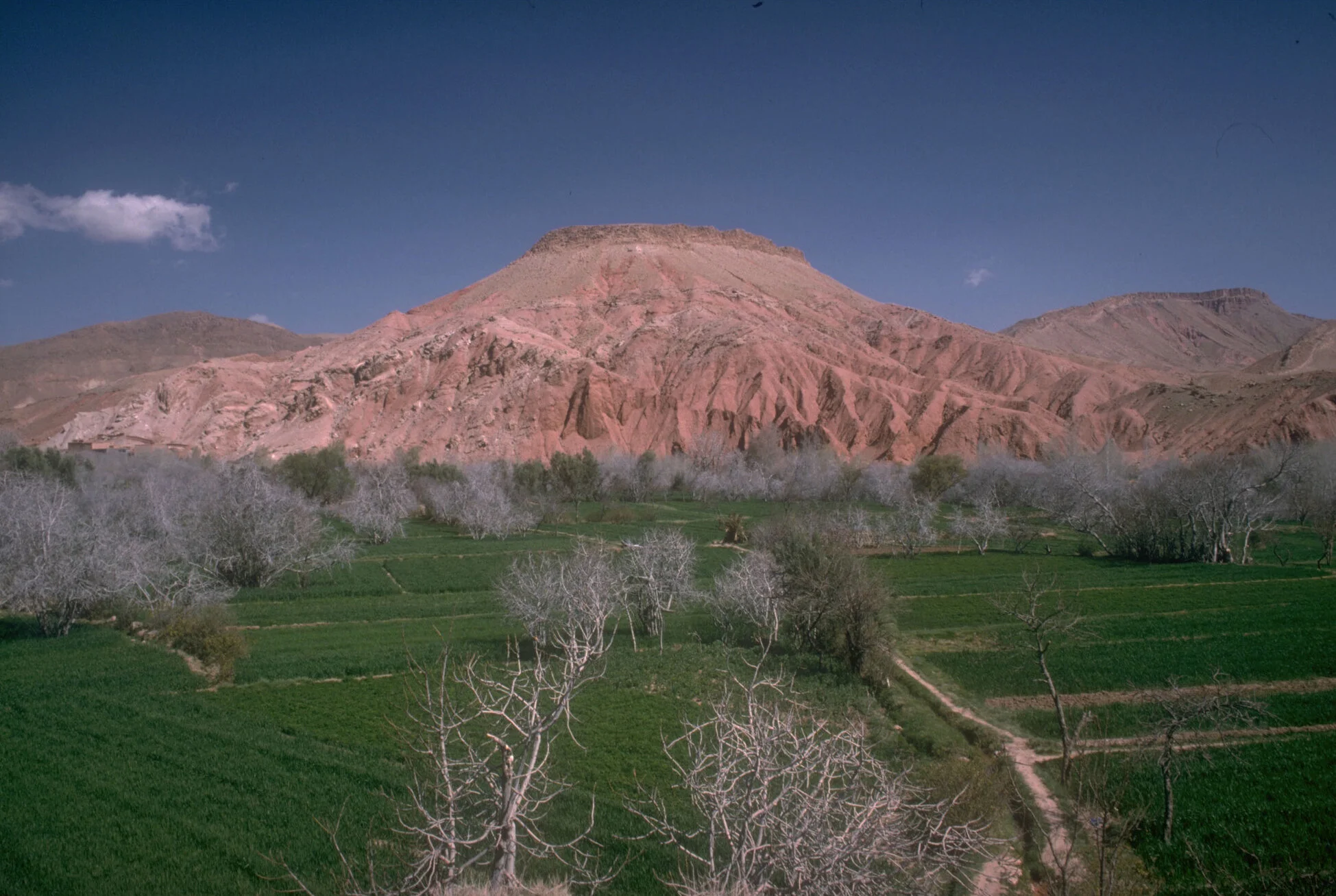 morocco-03.jpg