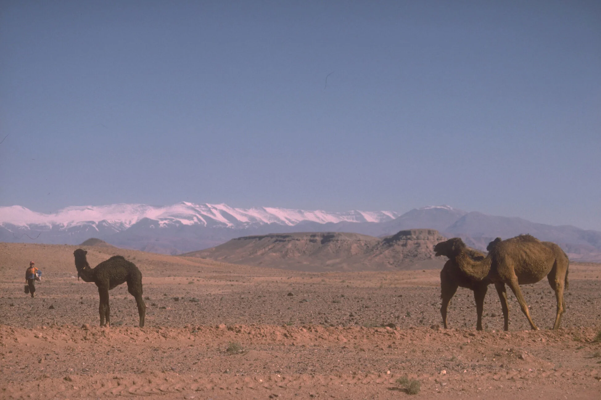 morocco-09.jpg