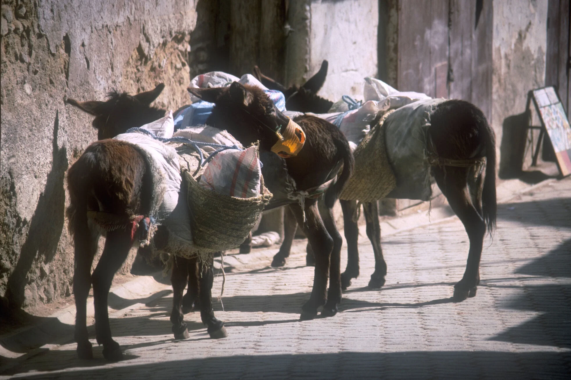 morocco-21.jpg
