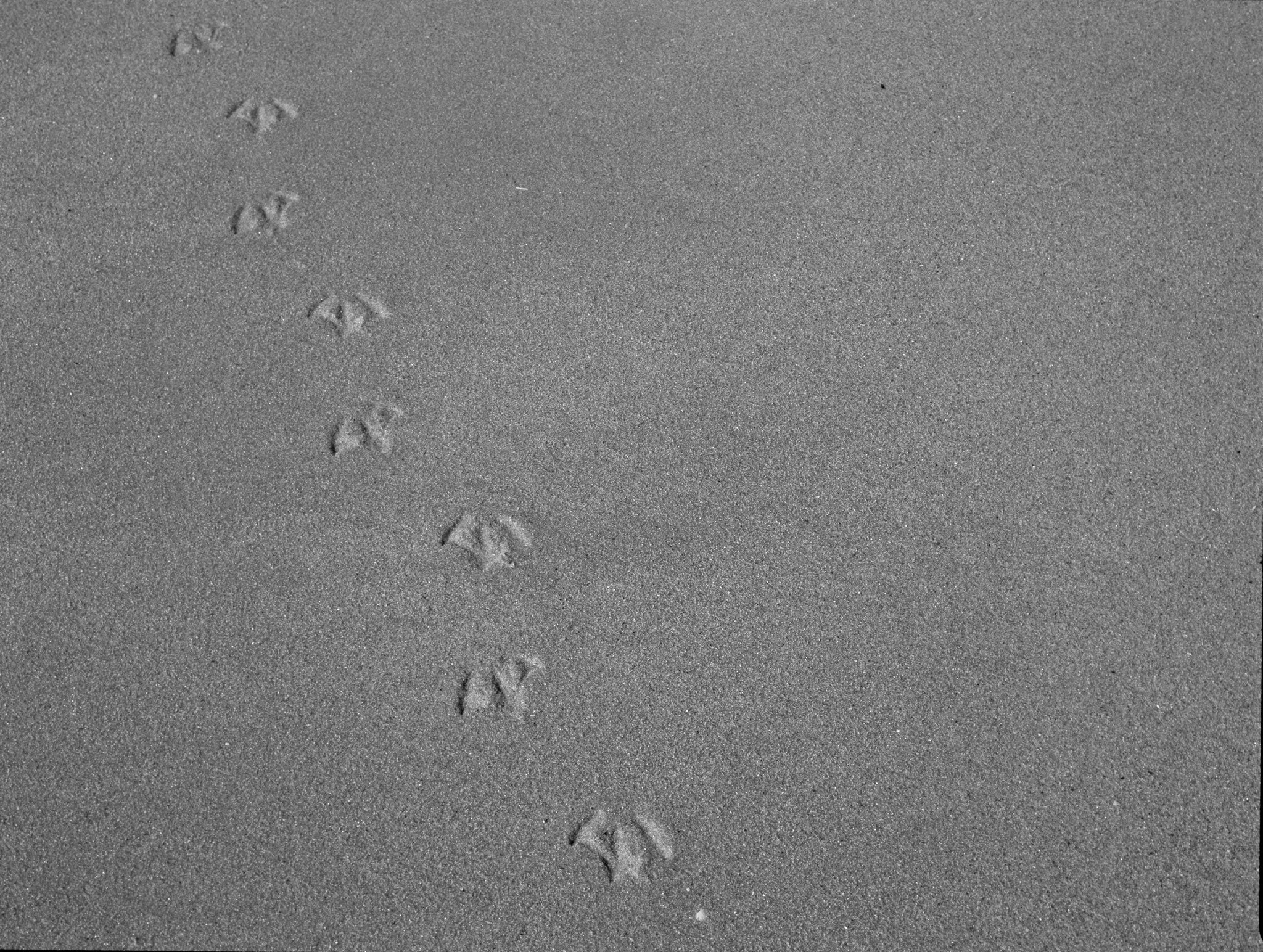 image(10).jpg
