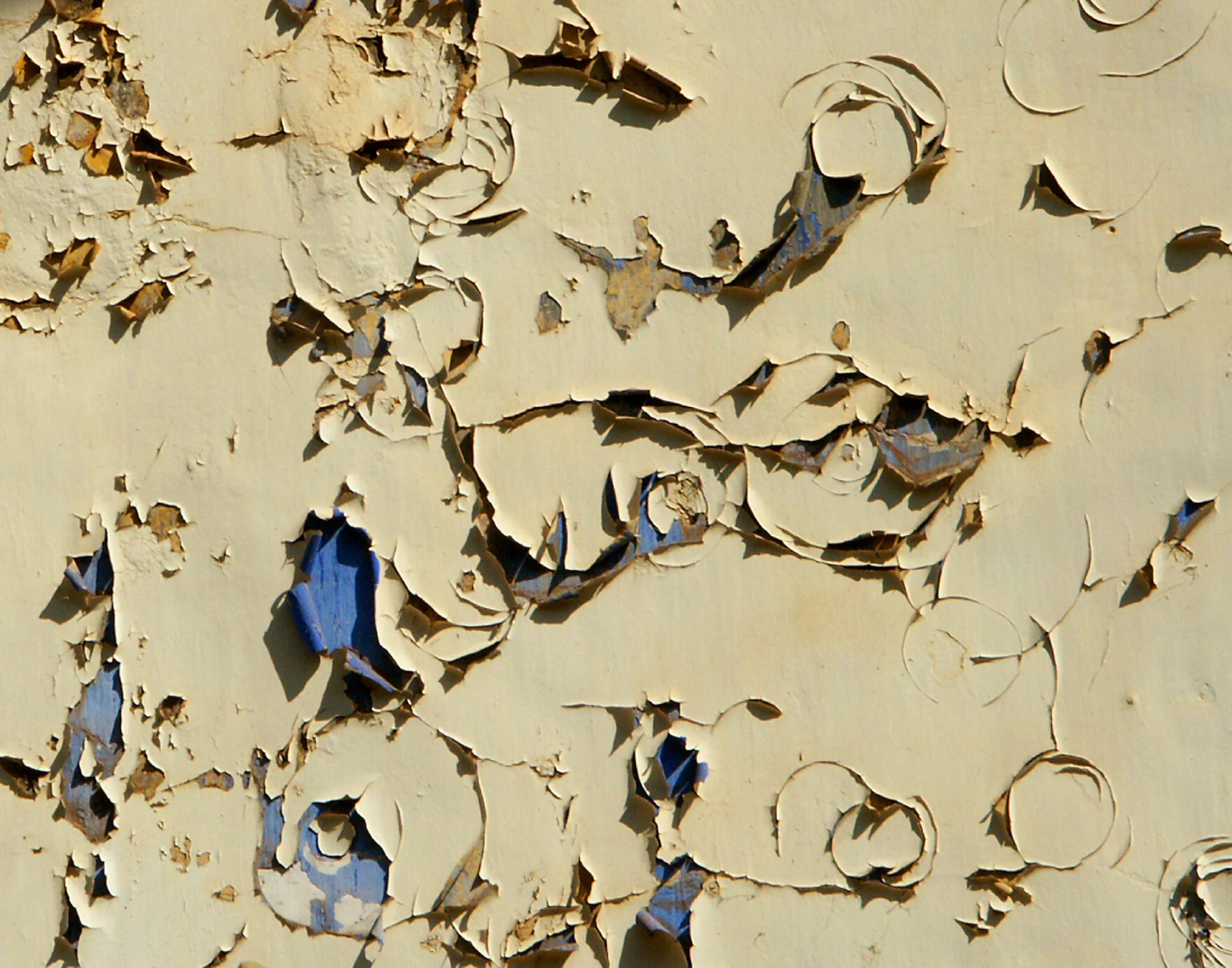 image(11).jpg