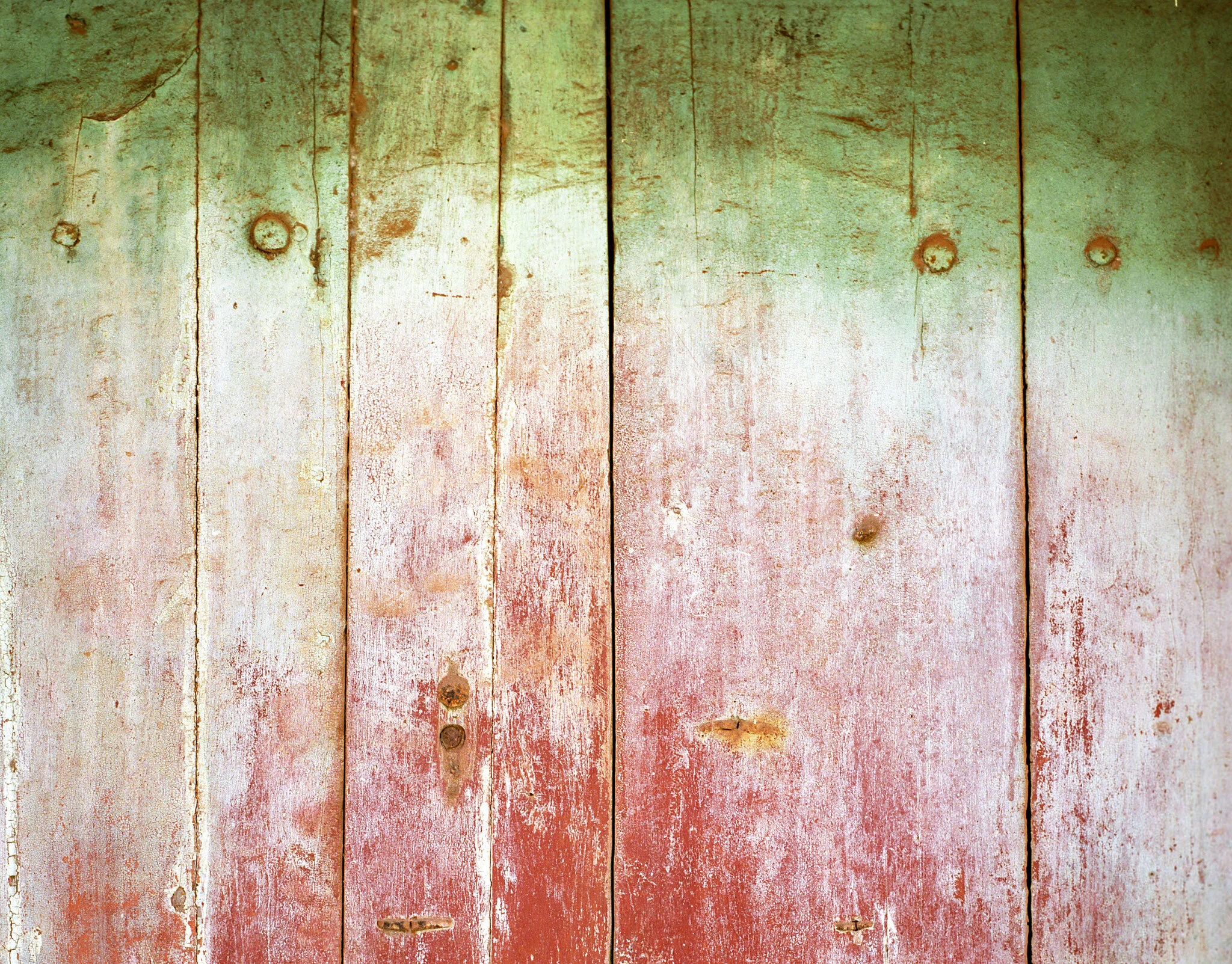 image(8).jpg