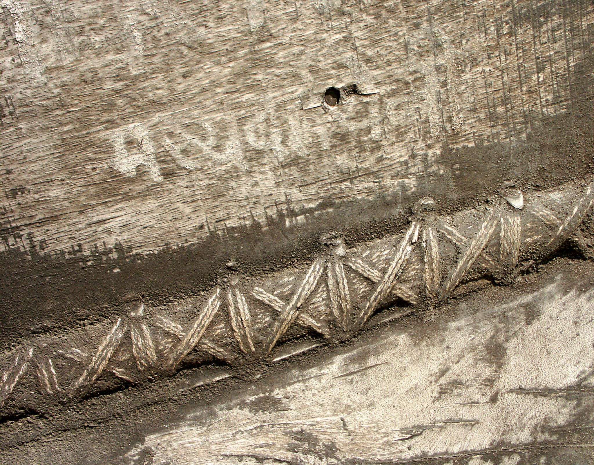 image(12).jpg