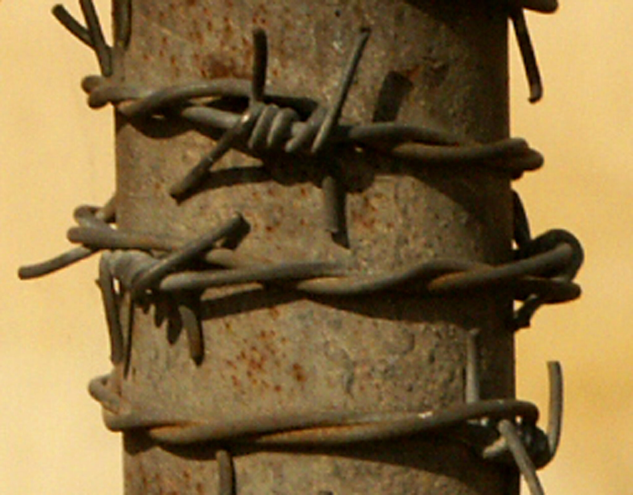 image(15).jpg