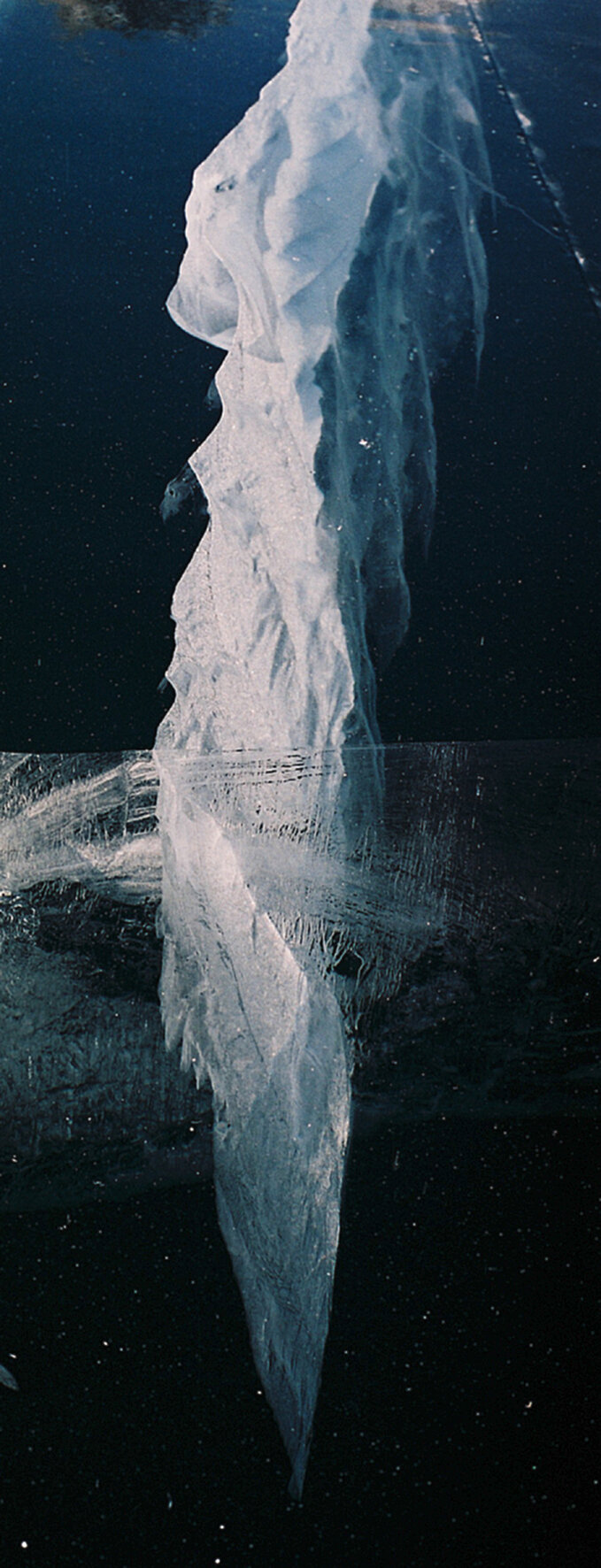 1516023038(20).jpg