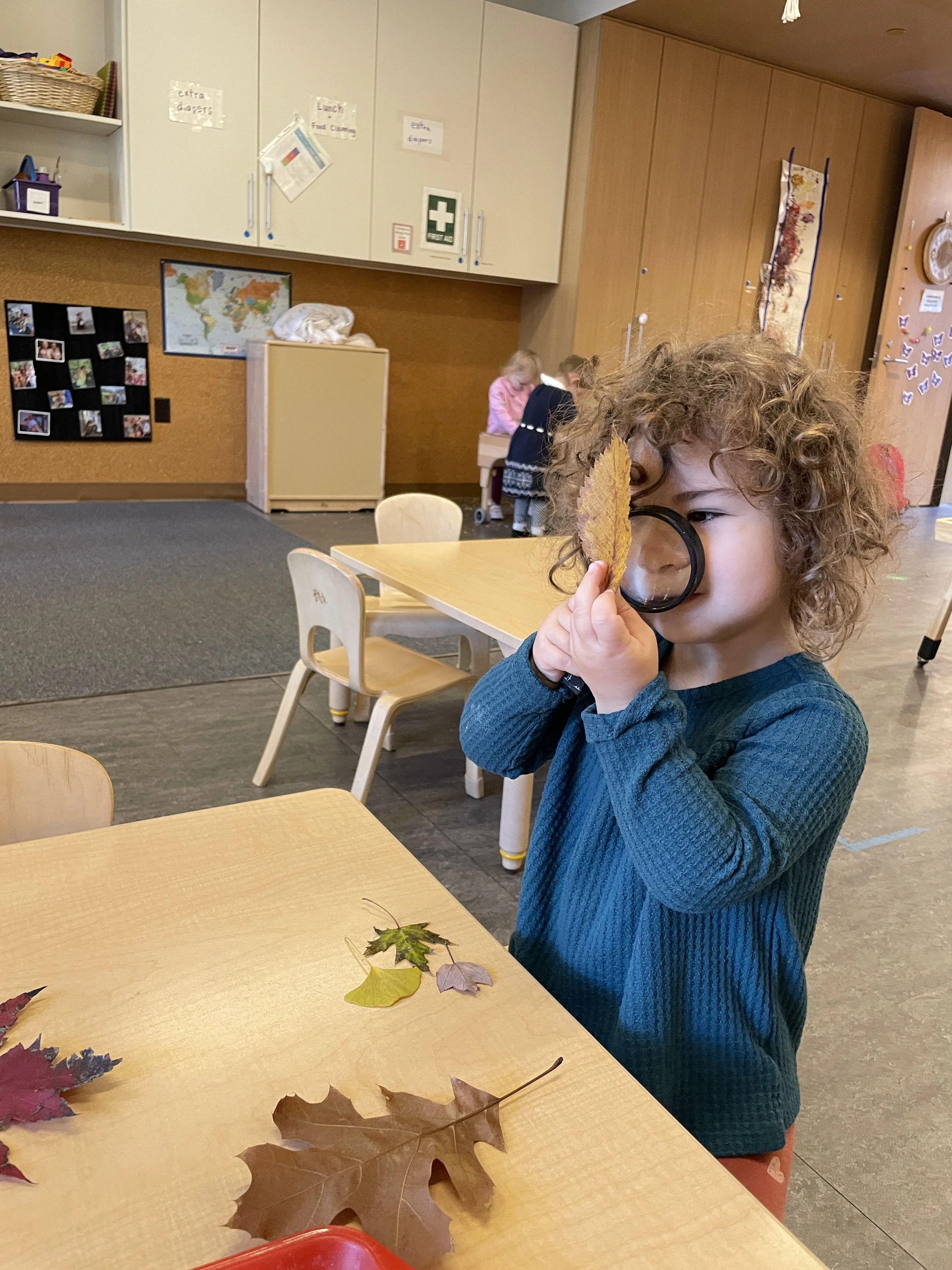 ECC toddler examines leaf with magnifying glass.