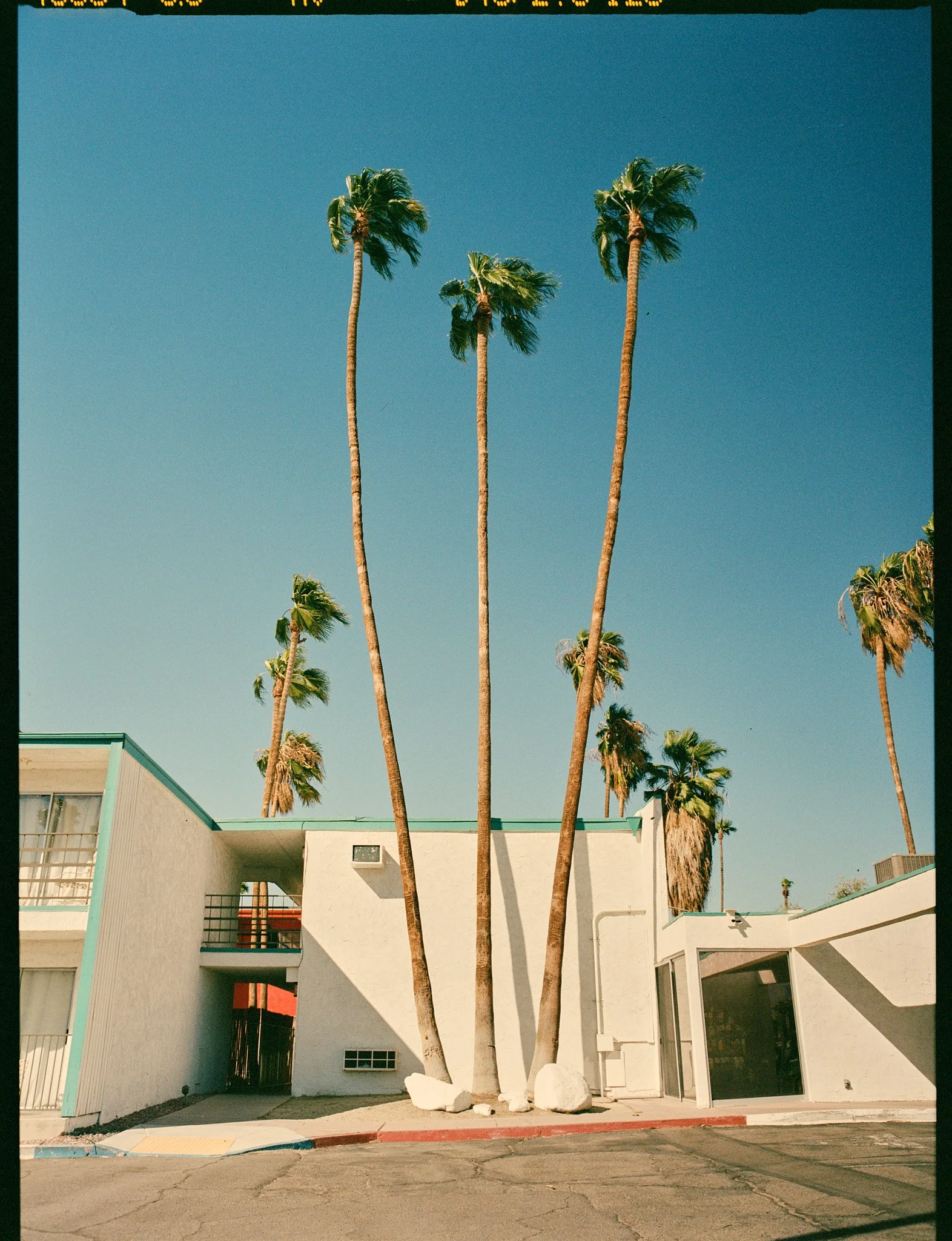 CALI_120 3.JPG