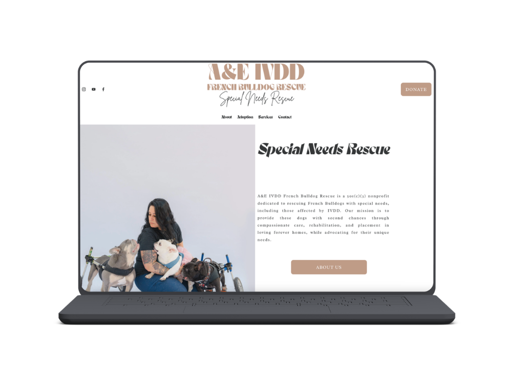 AE IVDD Rescue