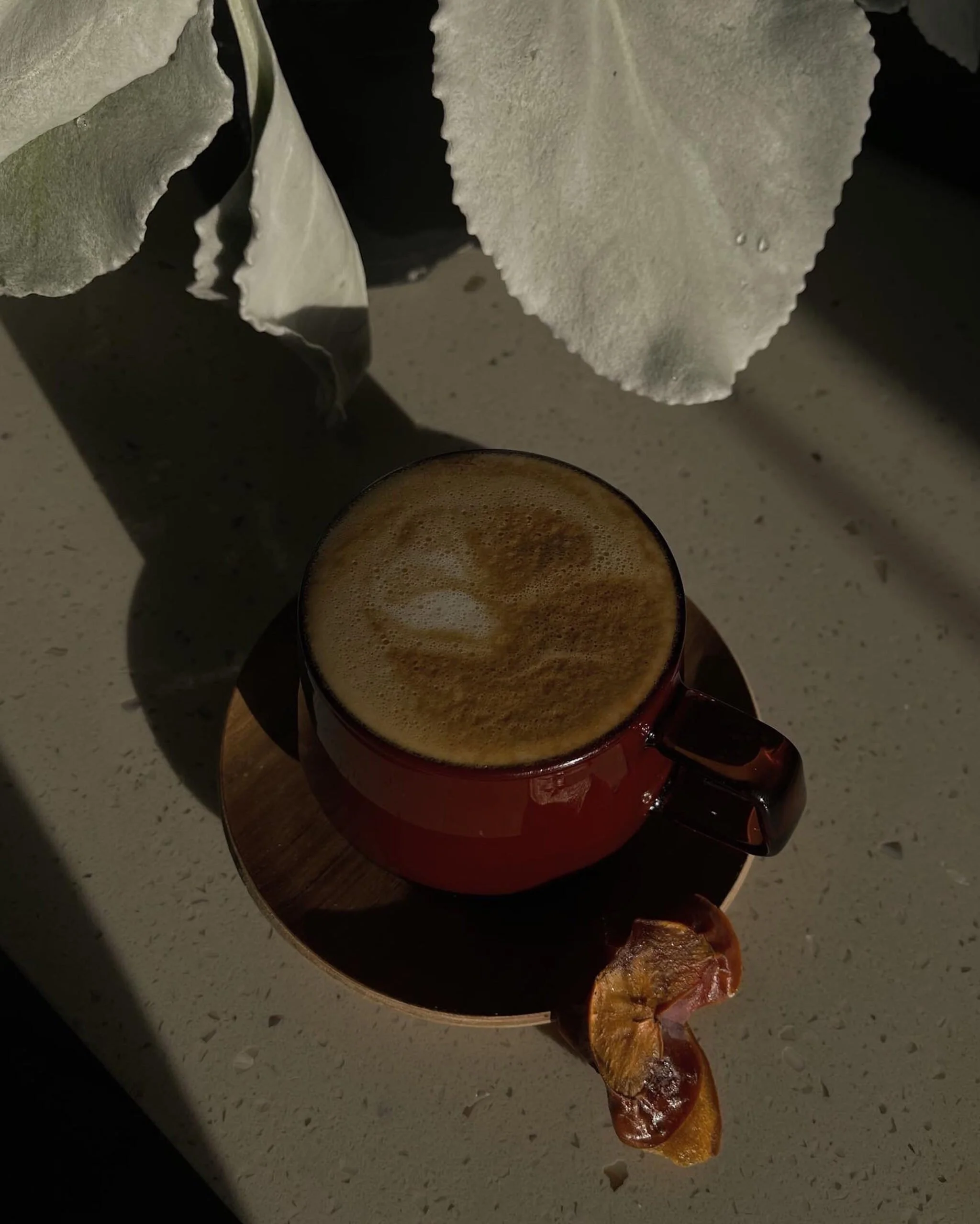 cup of coffee next to a plant on a speckled countertop