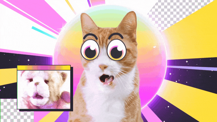 Cat.gif