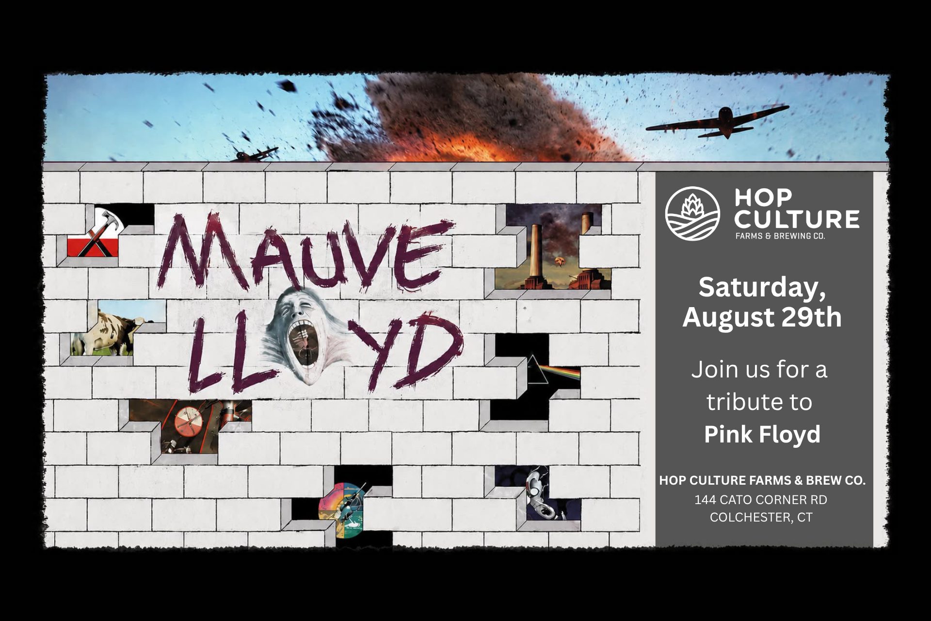 Mauve Lloyd: Pink Floyd Tribute