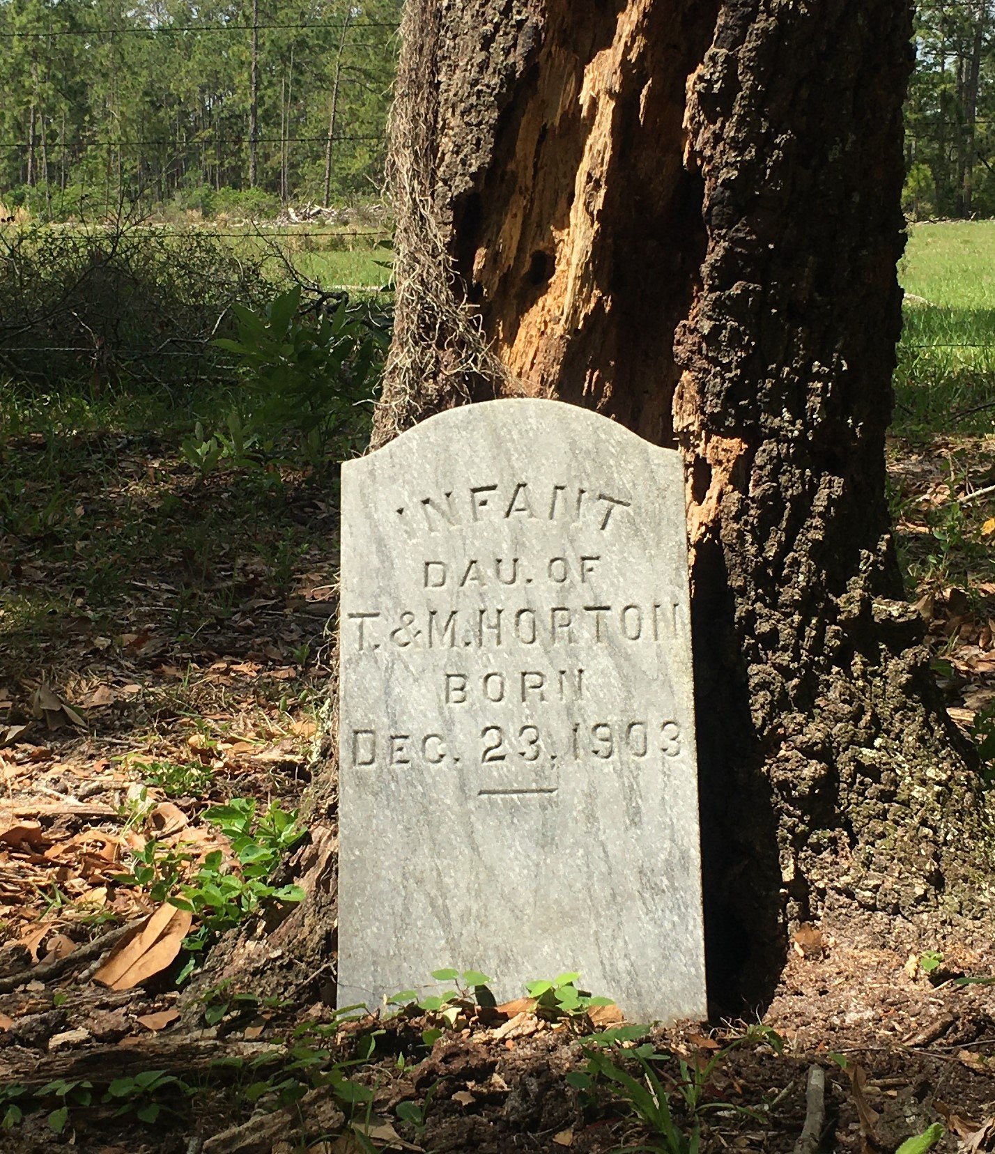 Headstone of Infant Daughter of T&M Horton.JPG