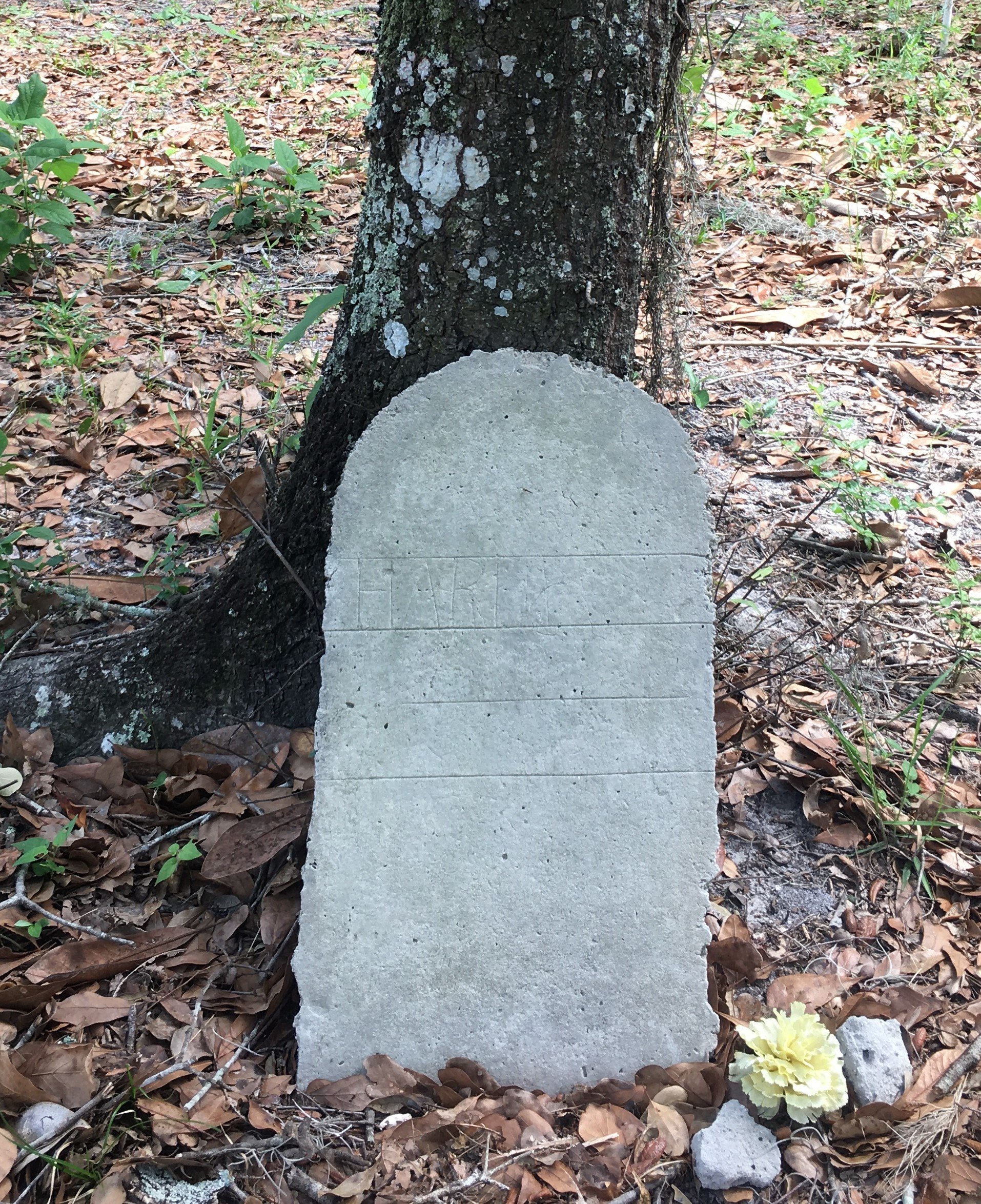 IMG unidentified headstone_possible first name Hardy.JPG