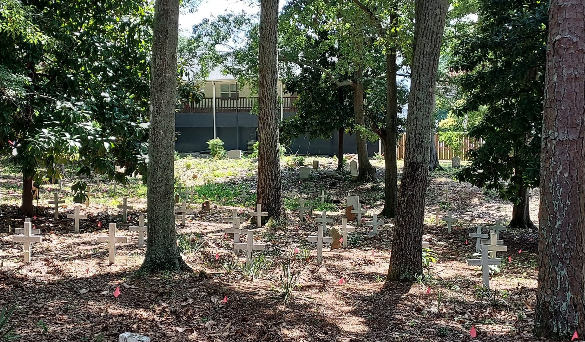 Zion Hill Cemetery 3 - Elizabeth Jones.jpg