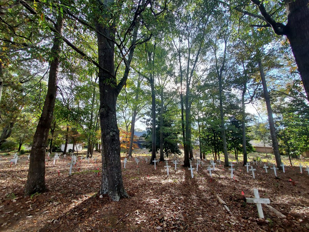 Zion Hill Cemetery 2 - Elizabeth Jones.jpg