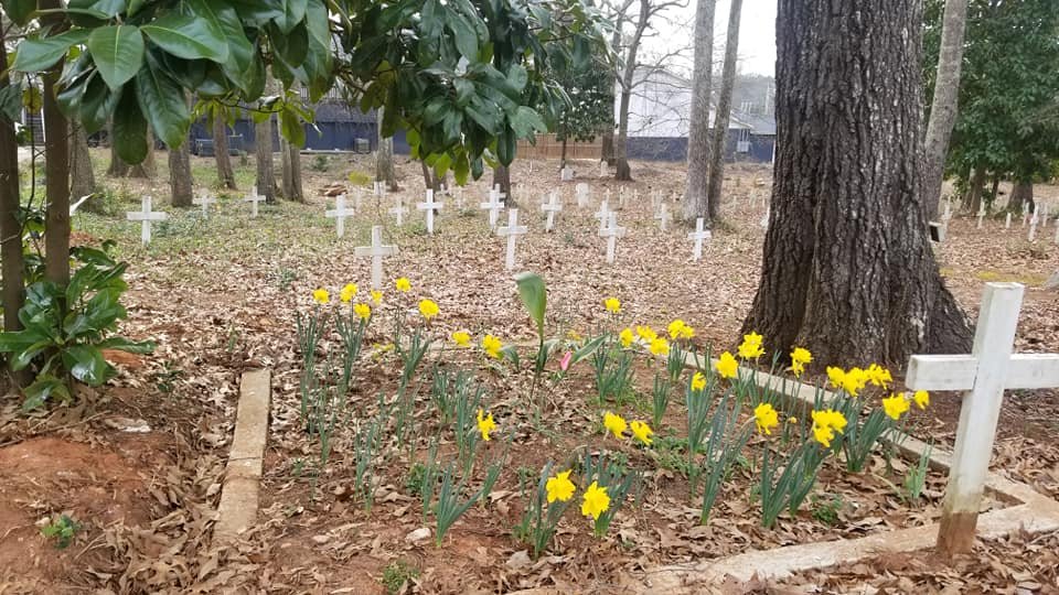 Zion Hill Cemetery 4 - Elizabeth Jones.jpg